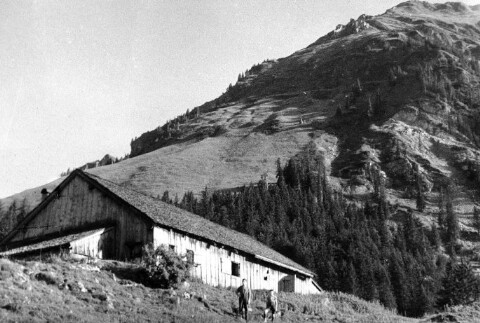 Alphütte Bröngele mit Winterstaude
