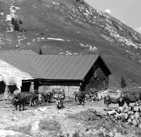 Alphütte Obere