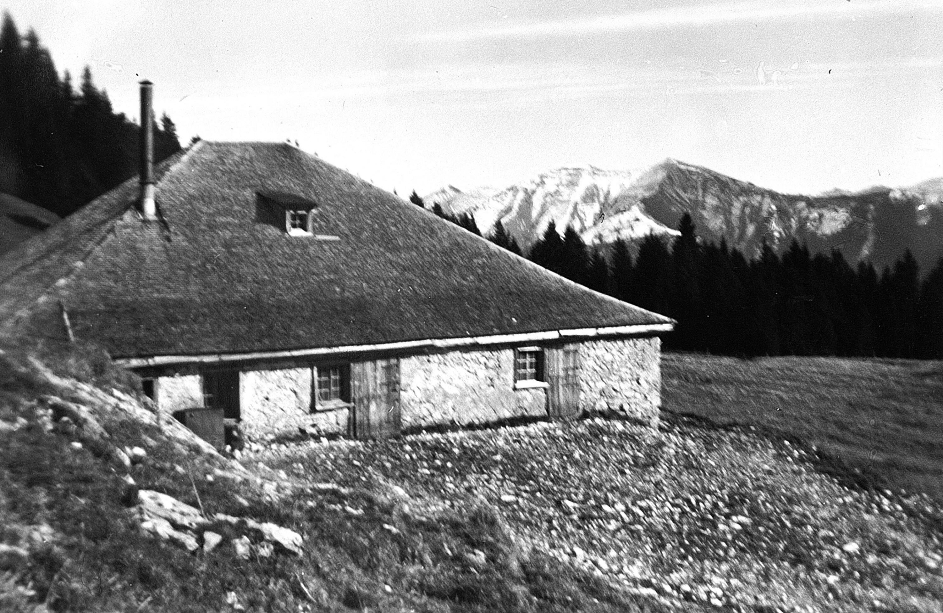 Alphütte Schöner Mann></div>


    <hr>
    <div class=