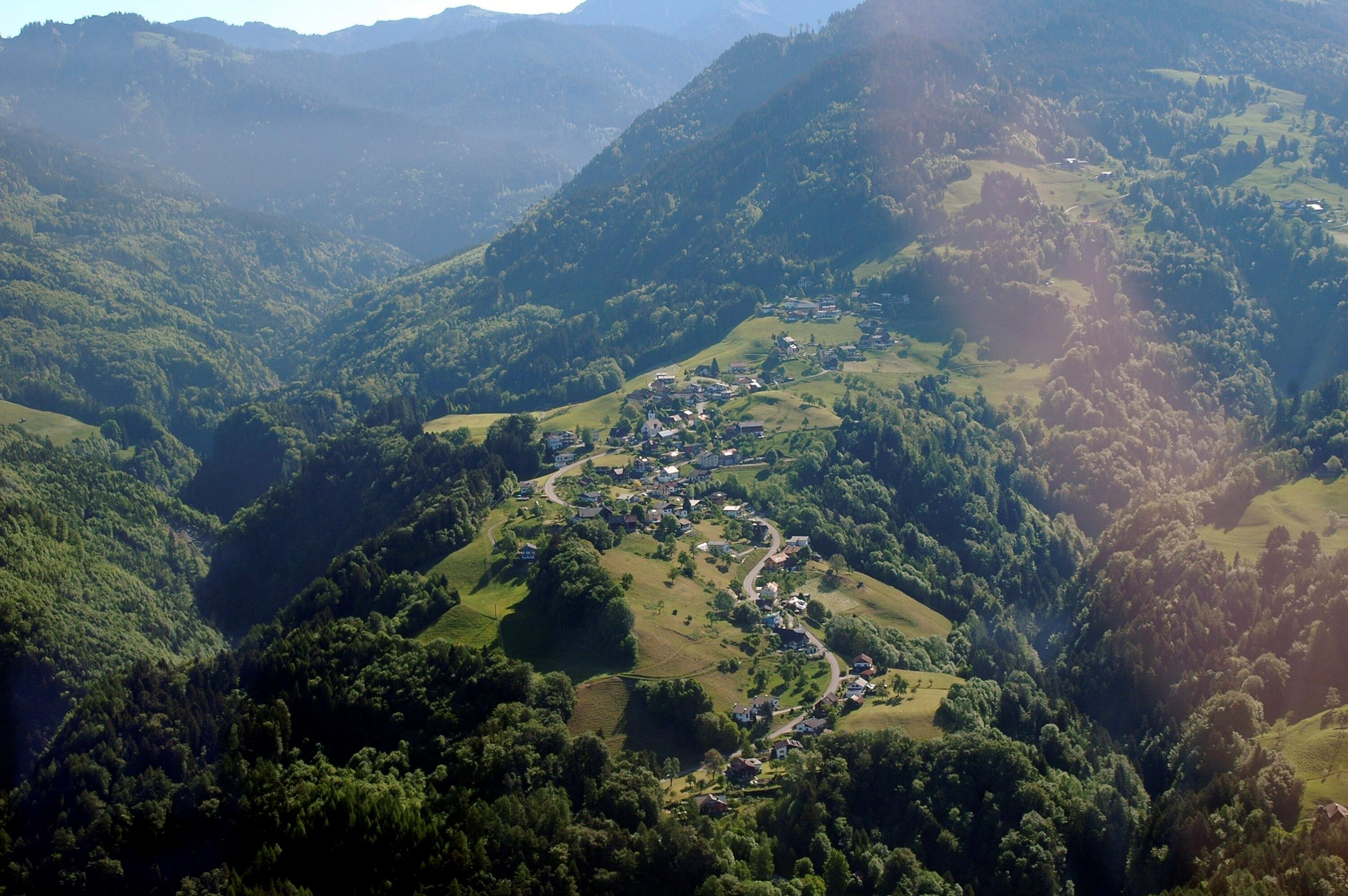 [Zwischenwasser - Dafins]></div>


    <hr>
    <div class=