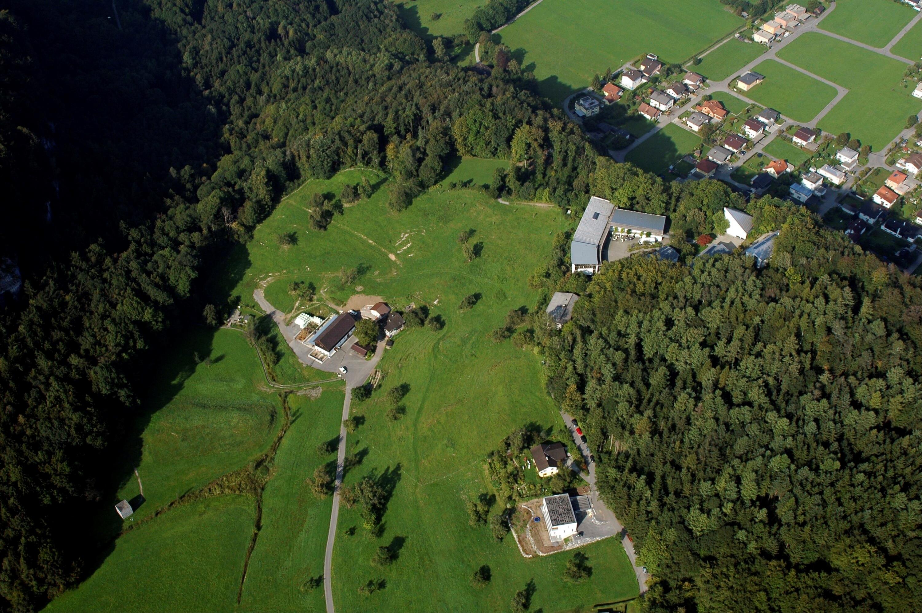 [Götzis - Arbogast]></div>


    <hr>
    <div class=