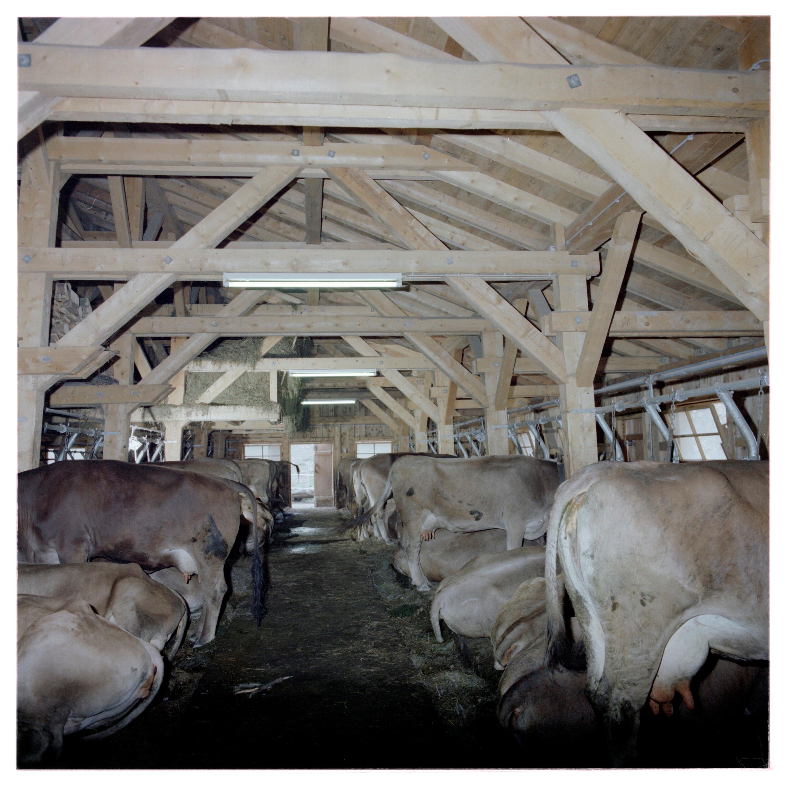 ABB-Alpen, Mittelargen, Käserei und Stall></div>


    <hr>
    <div class=