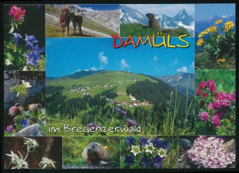 Damüls im Bregenzerwald : [Damüls im Bregenzerwald Vorarlberg, Österreich ...]