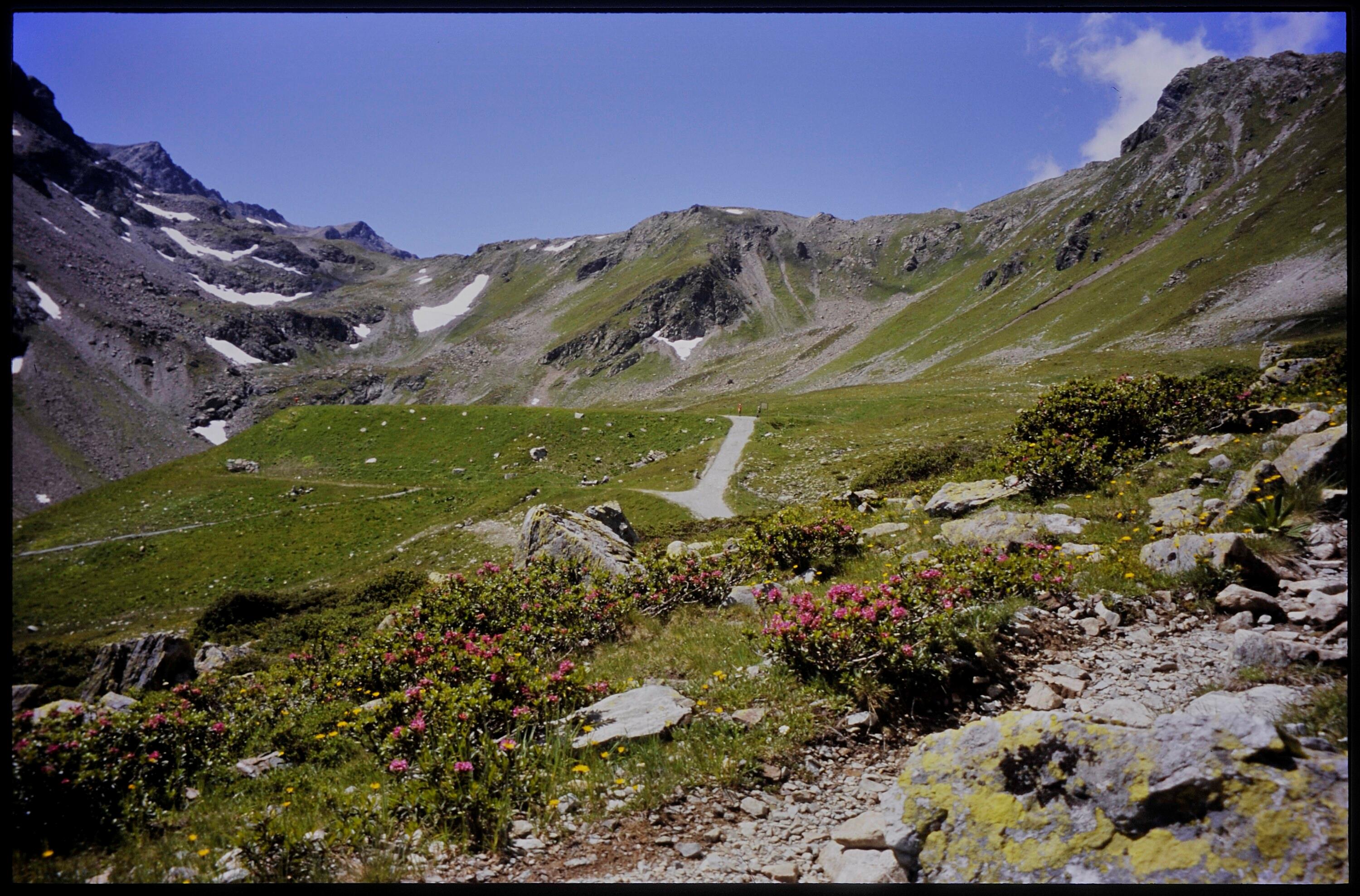 [Gargellen, Weg zum Gafier Joch]></div>


    <hr>
    <div class=