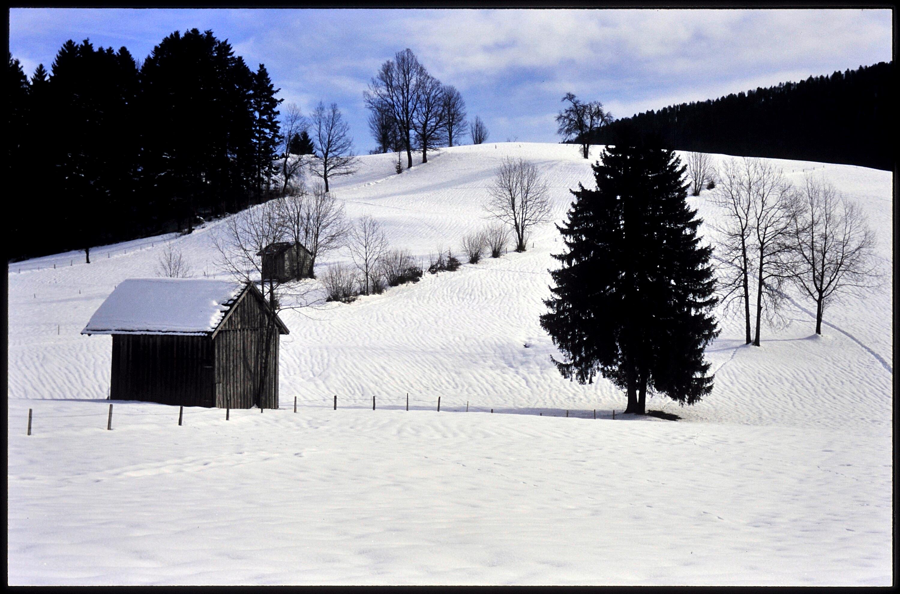 [Alberschwende, Winterweg Gschwend-Fischbach]></div>


    <hr>
    <div class=