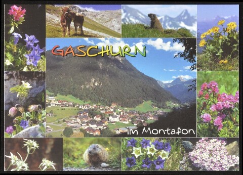 Gaschurn : im Montafon : [Gaschurn im Montafon gegen Vallüla, 2813 m Vorarlberg, Österreich ...]