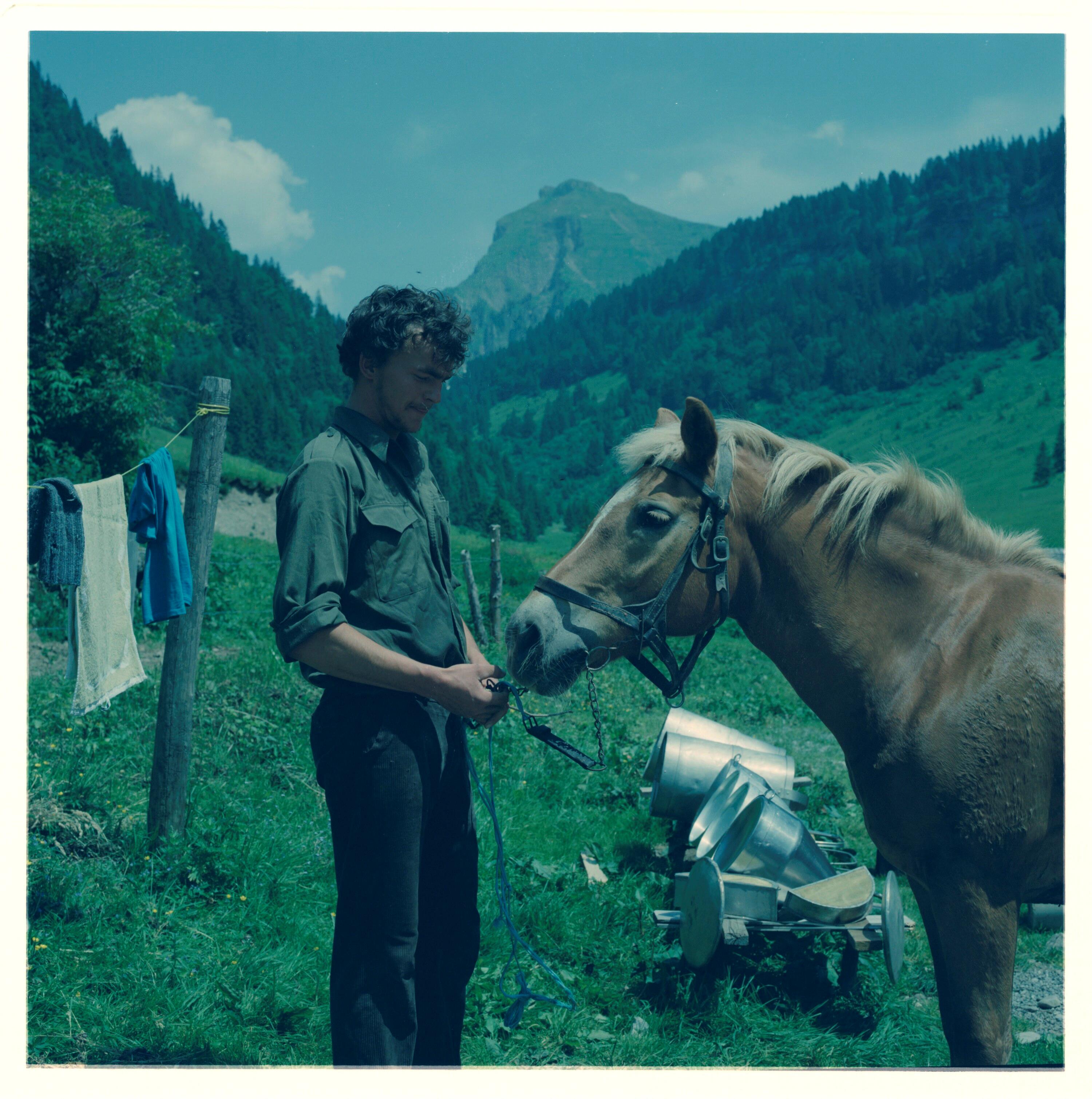 Alp-Senn mit Haflinger></div>


    <hr>
    <div class=