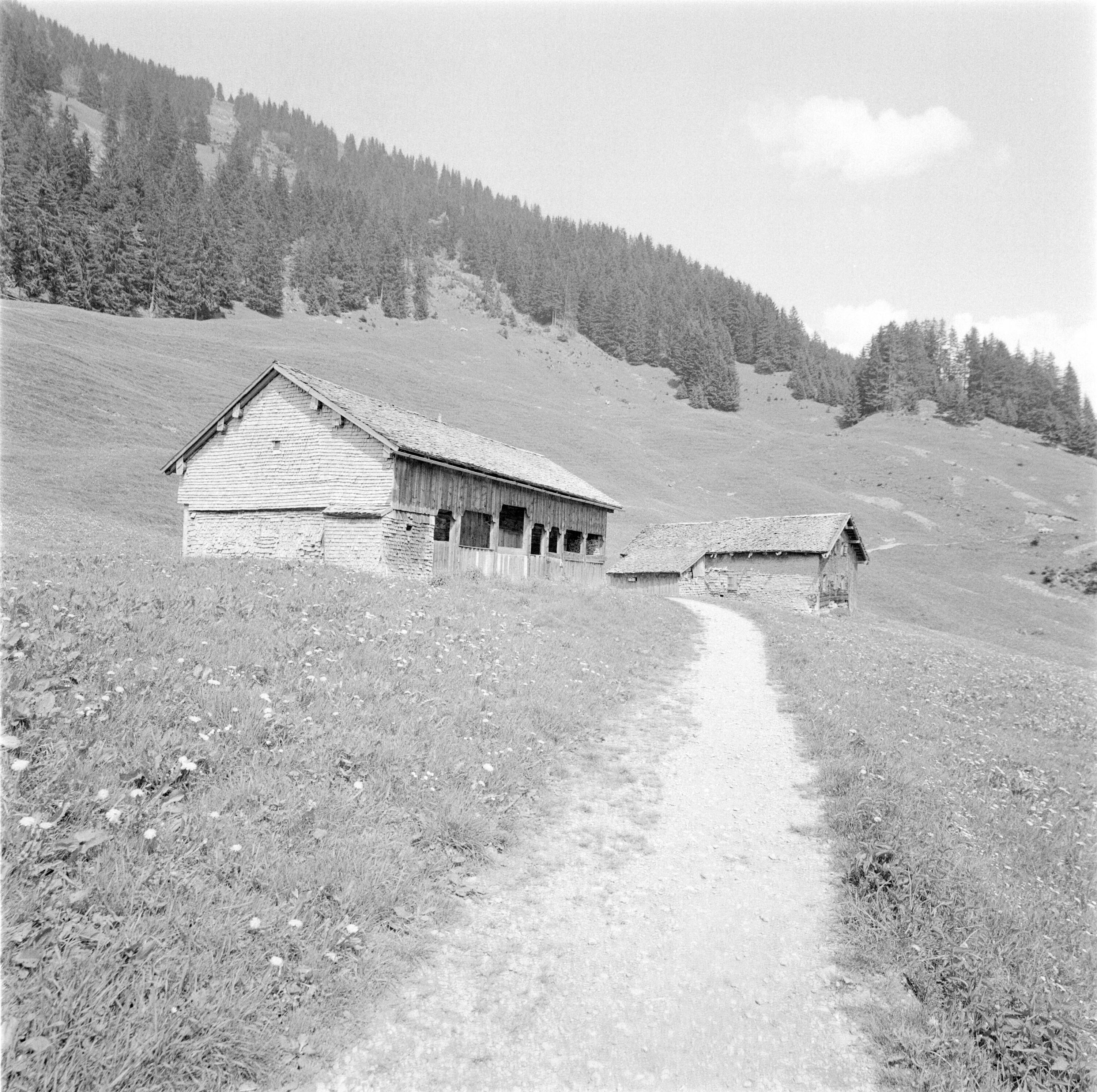 [Sonderdach]></div>


    <hr>
    <div class=