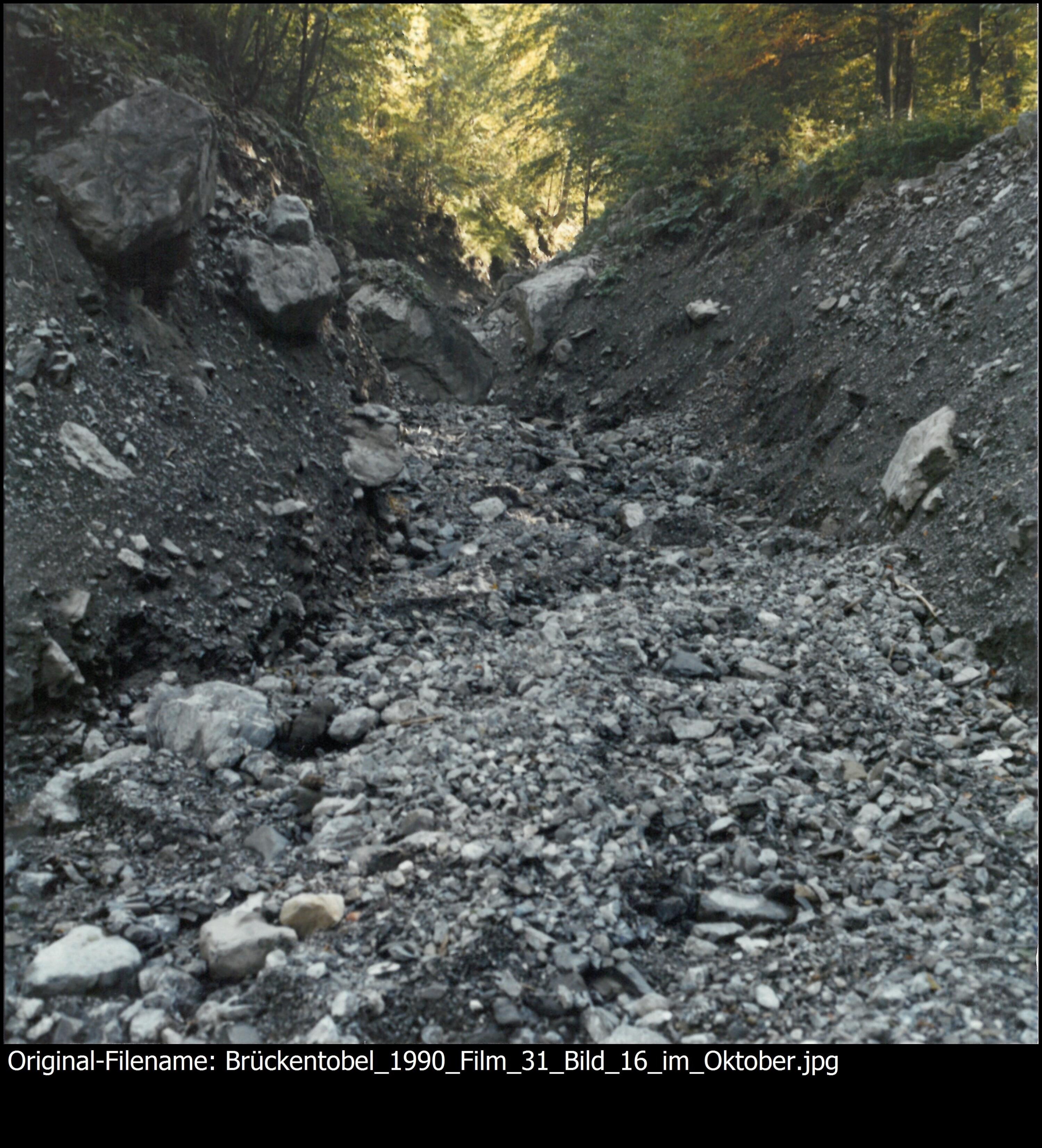 [Brückentobel Brand]></div>


    <hr>
    <div class=