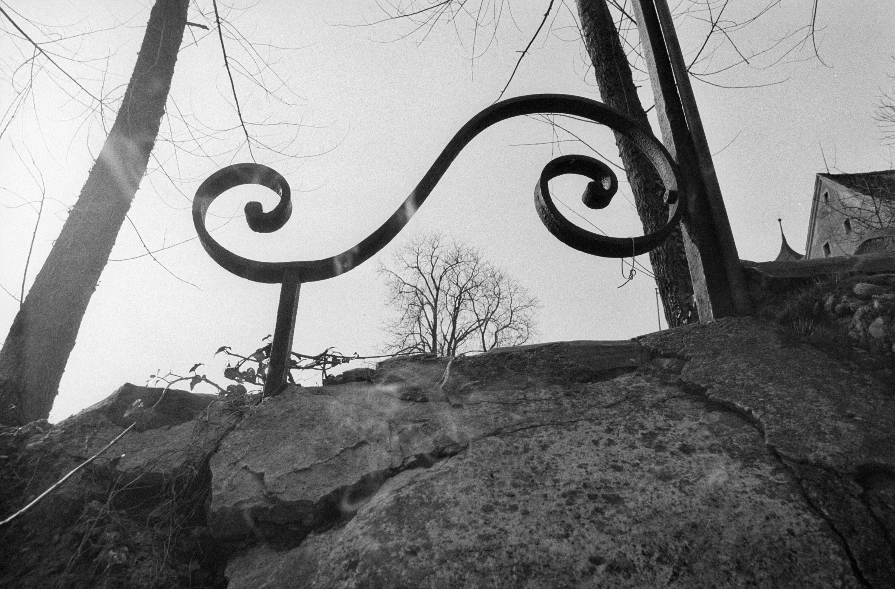 [Bregenz Oberstadt, schmiedeeisernes Geländer, Detail]></div>


    <hr>
    <div class=