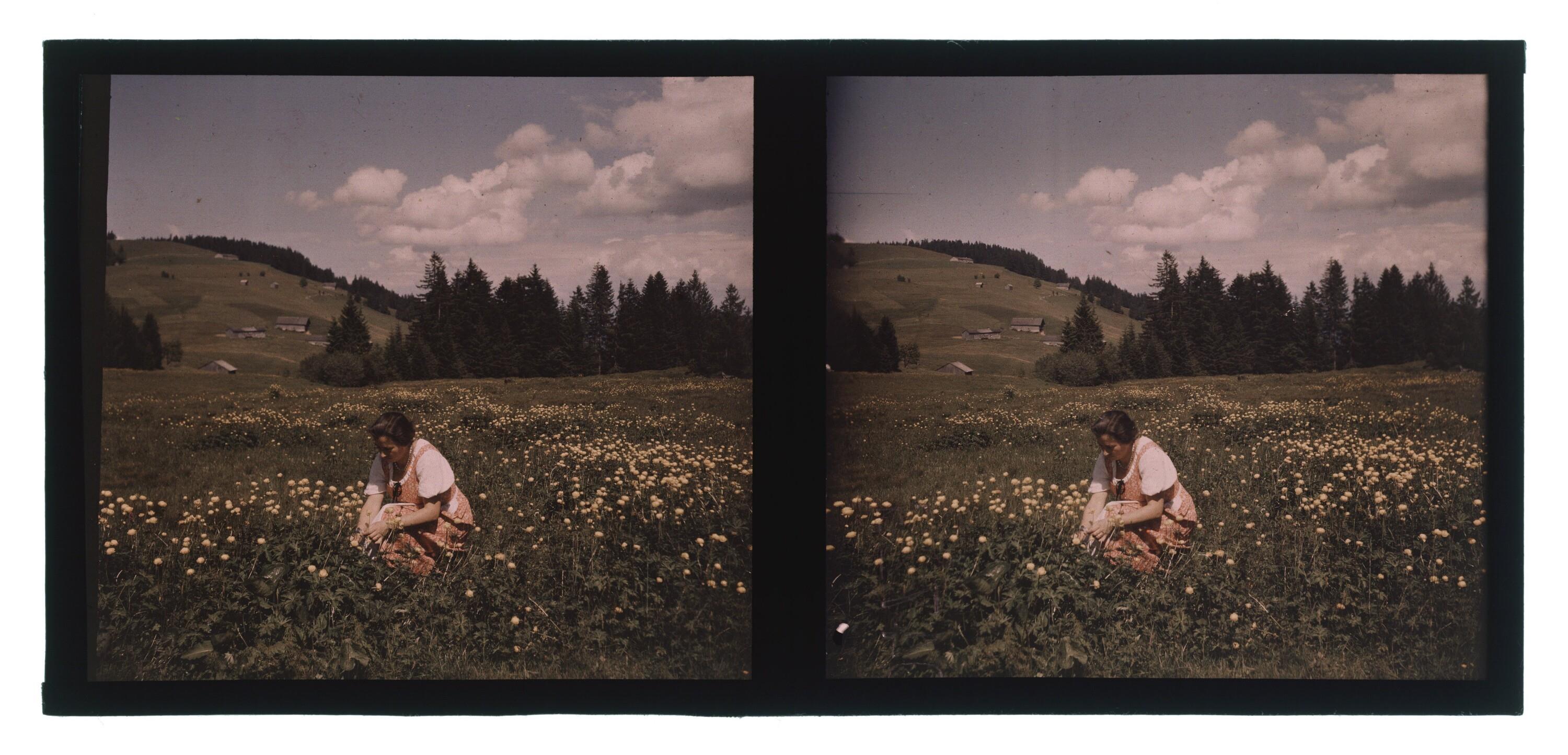 [Eleonore Bertolini]></div>


    <hr>
    <div class=