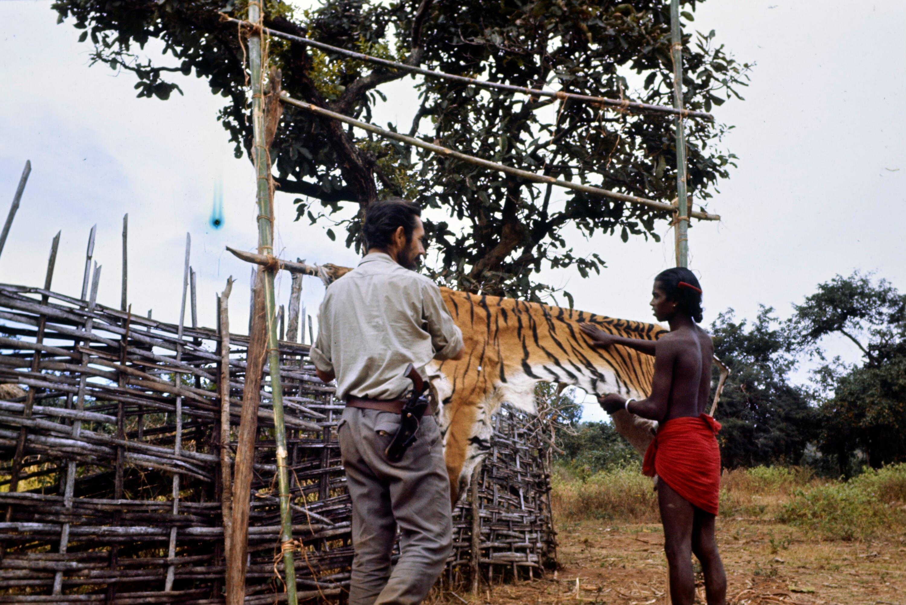 [Abutschmar]></div>


    <hr>
    <div class=