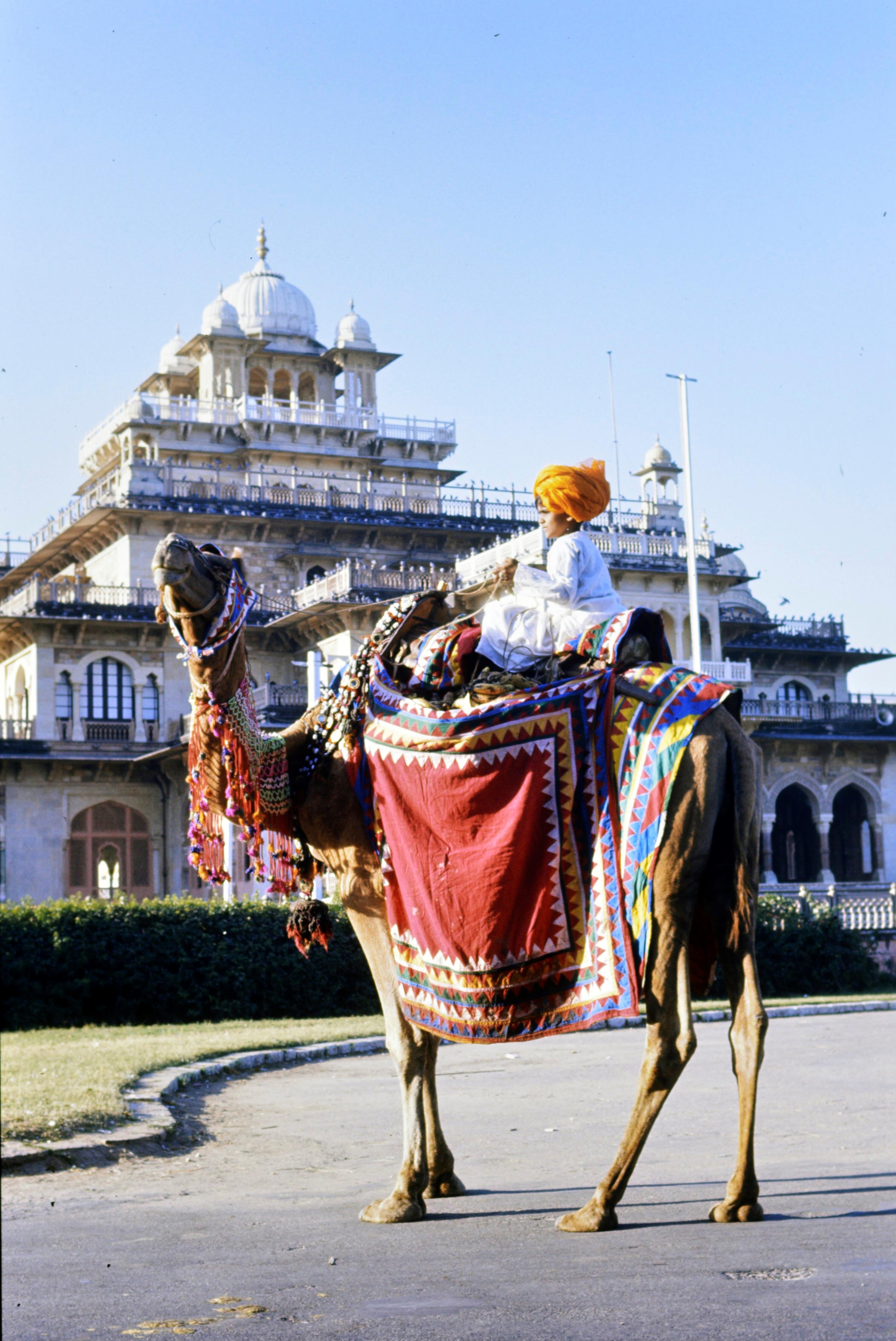 [Kumar, der Affen bester Freund]></div>


    <hr>
    <div class=