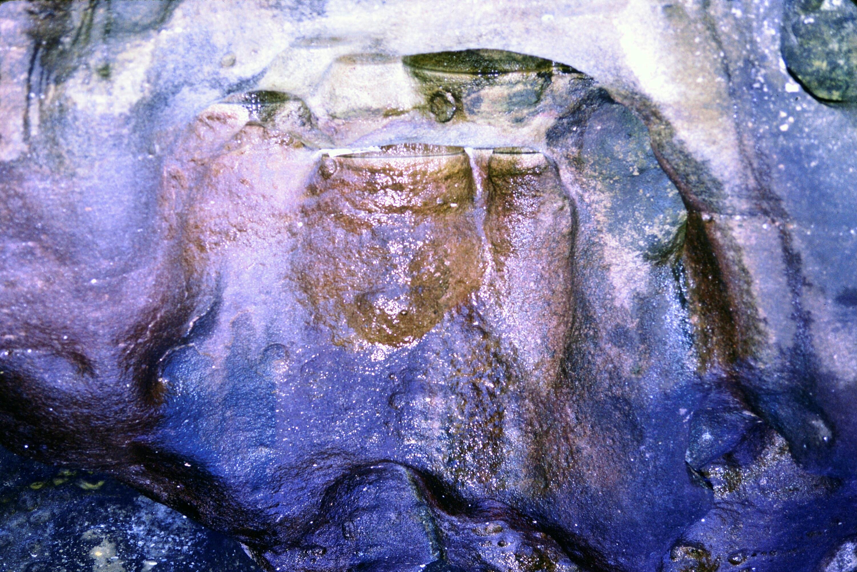 [Gulung-Mulu-Nationalpark]></div>


    <hr>
    <div class=