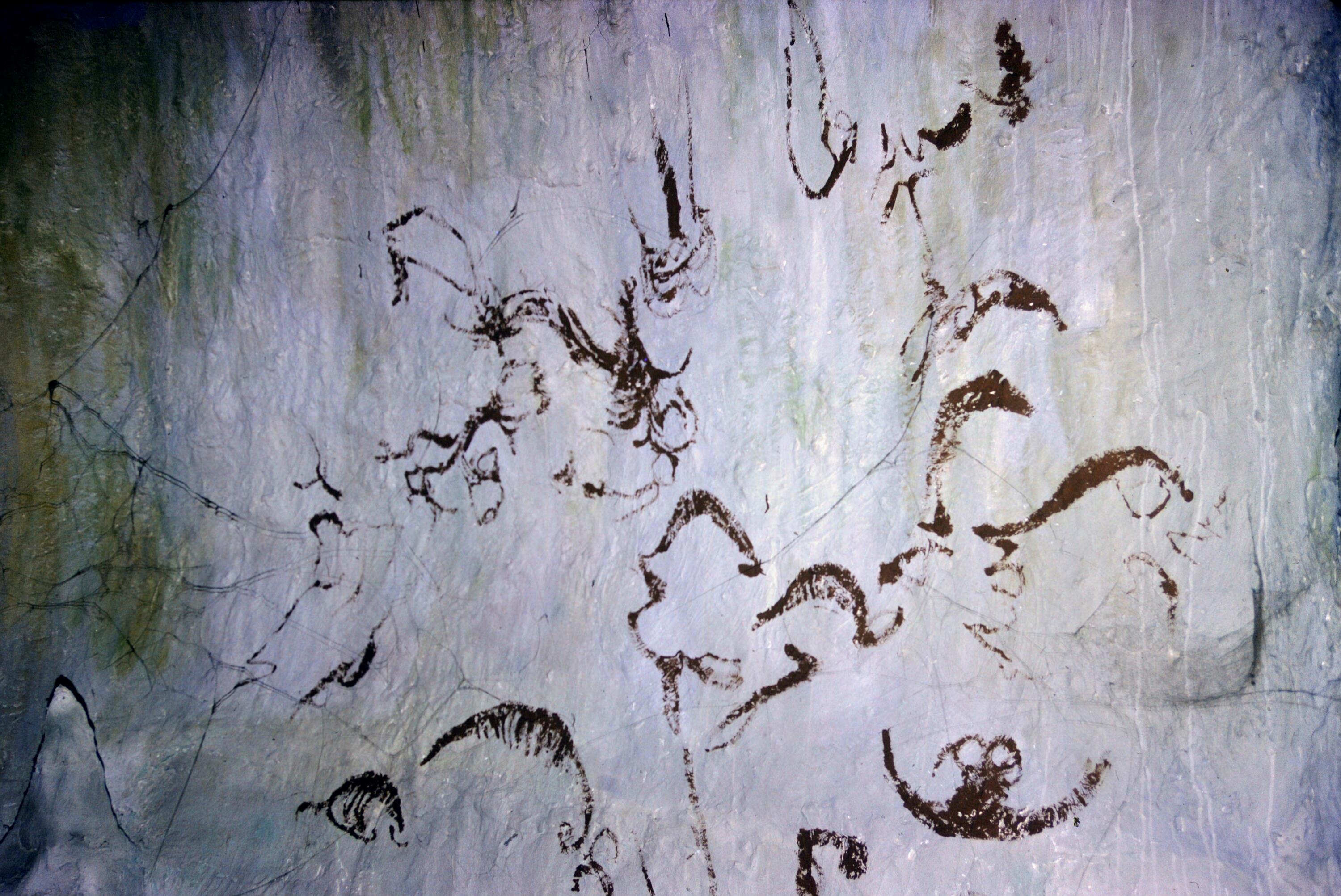 [Gulung-Mulu-Nationalpark]></div>


    <hr>
    <div class=