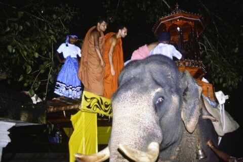 [Chaminda mit Elefanten auf Sri Lanka]