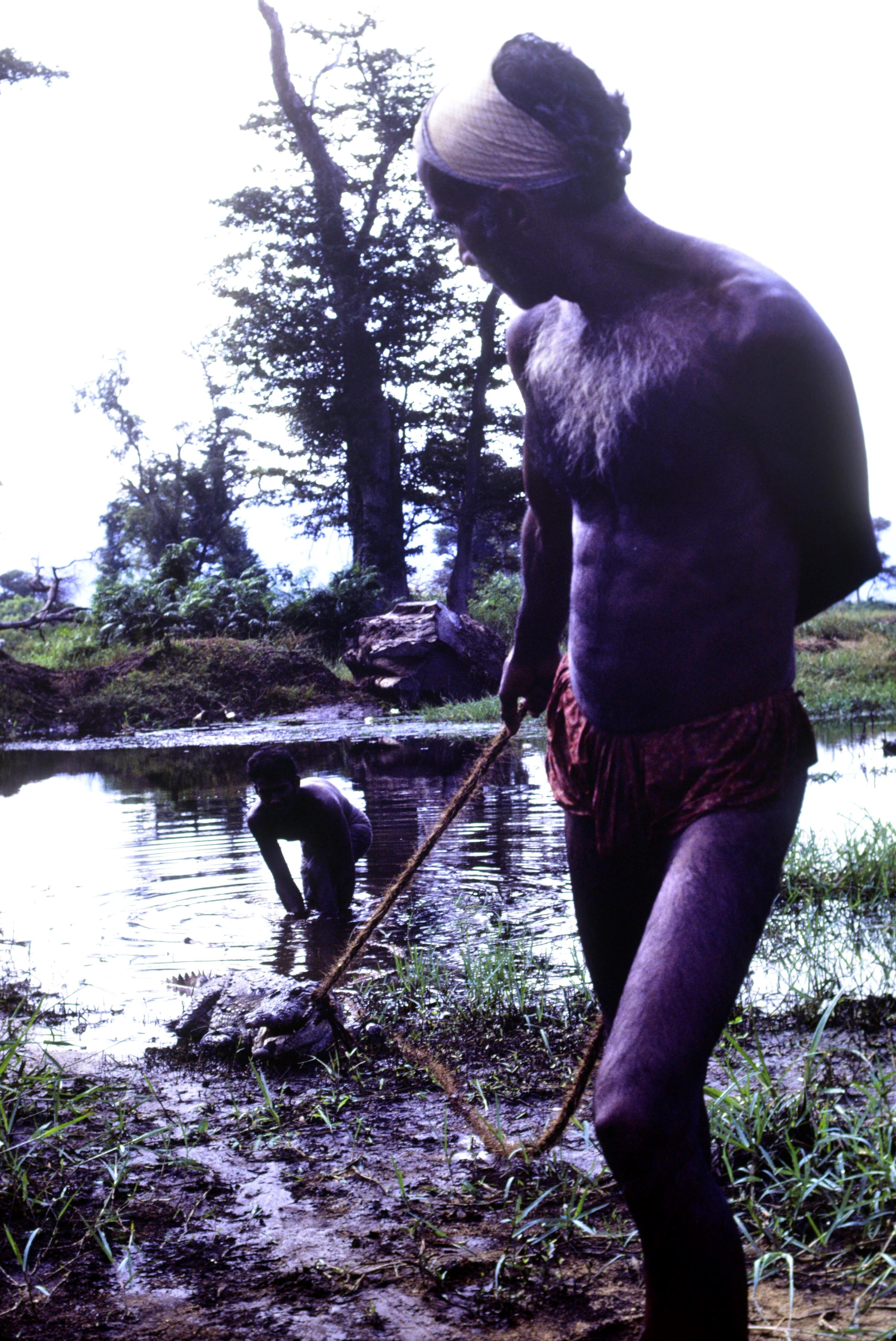 [Krokodilfang]></div>


    <hr>
    <div class=