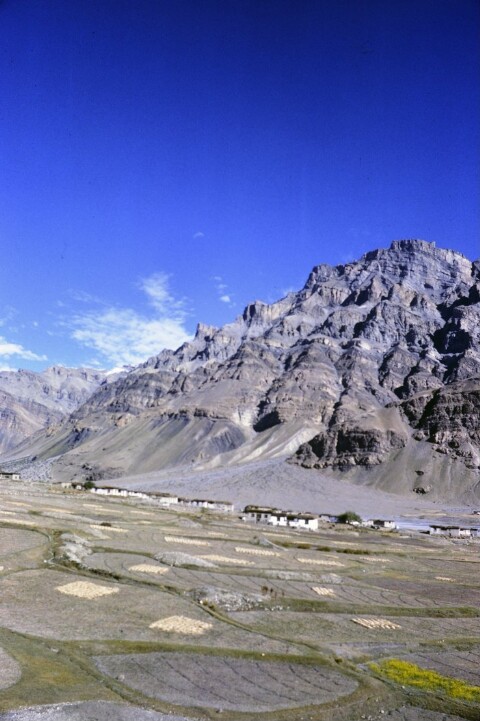 [Dorf Paldu, eines der höchsten im Himalaya]