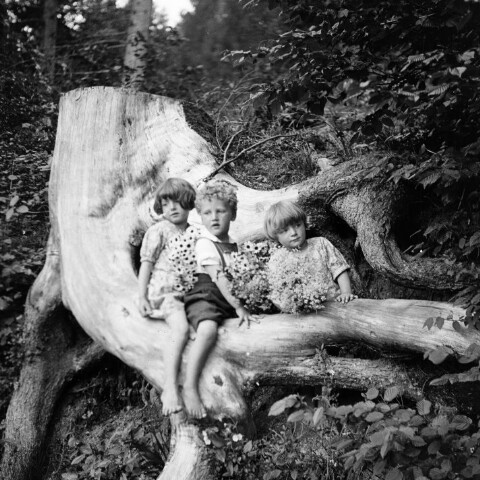 Kinder auf einem Baumstrunk