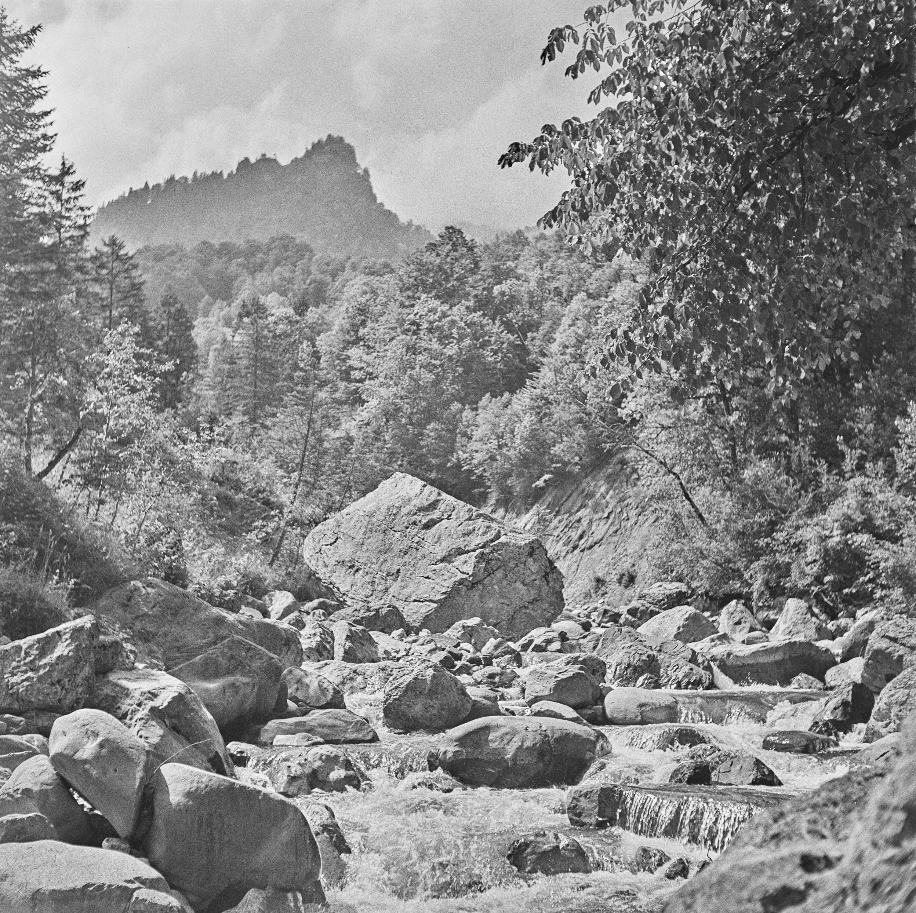 Mellau, Gewässer></div>


    <hr>
    <div class=