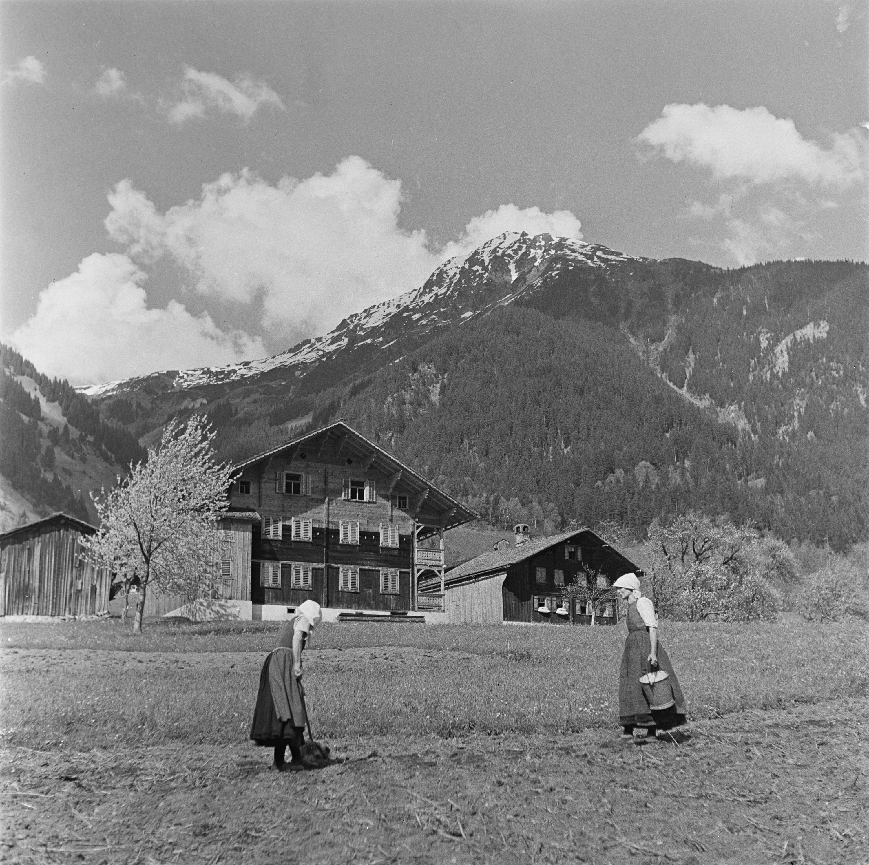 St. Gallenkirch, Bauernhaus></div>


    <hr>
    <div class=