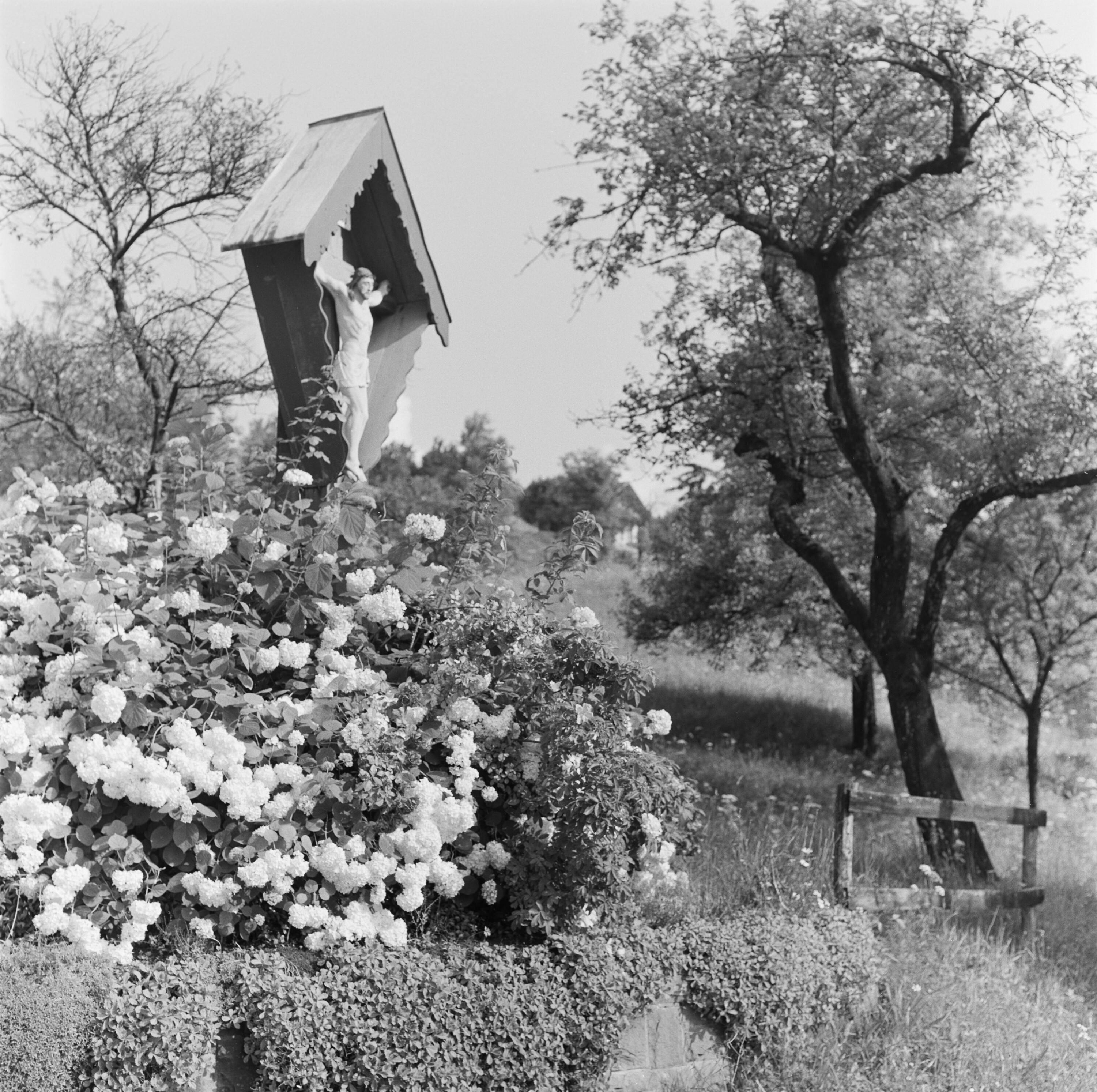 Wegkreuz></div>


    <hr>
    <div class=