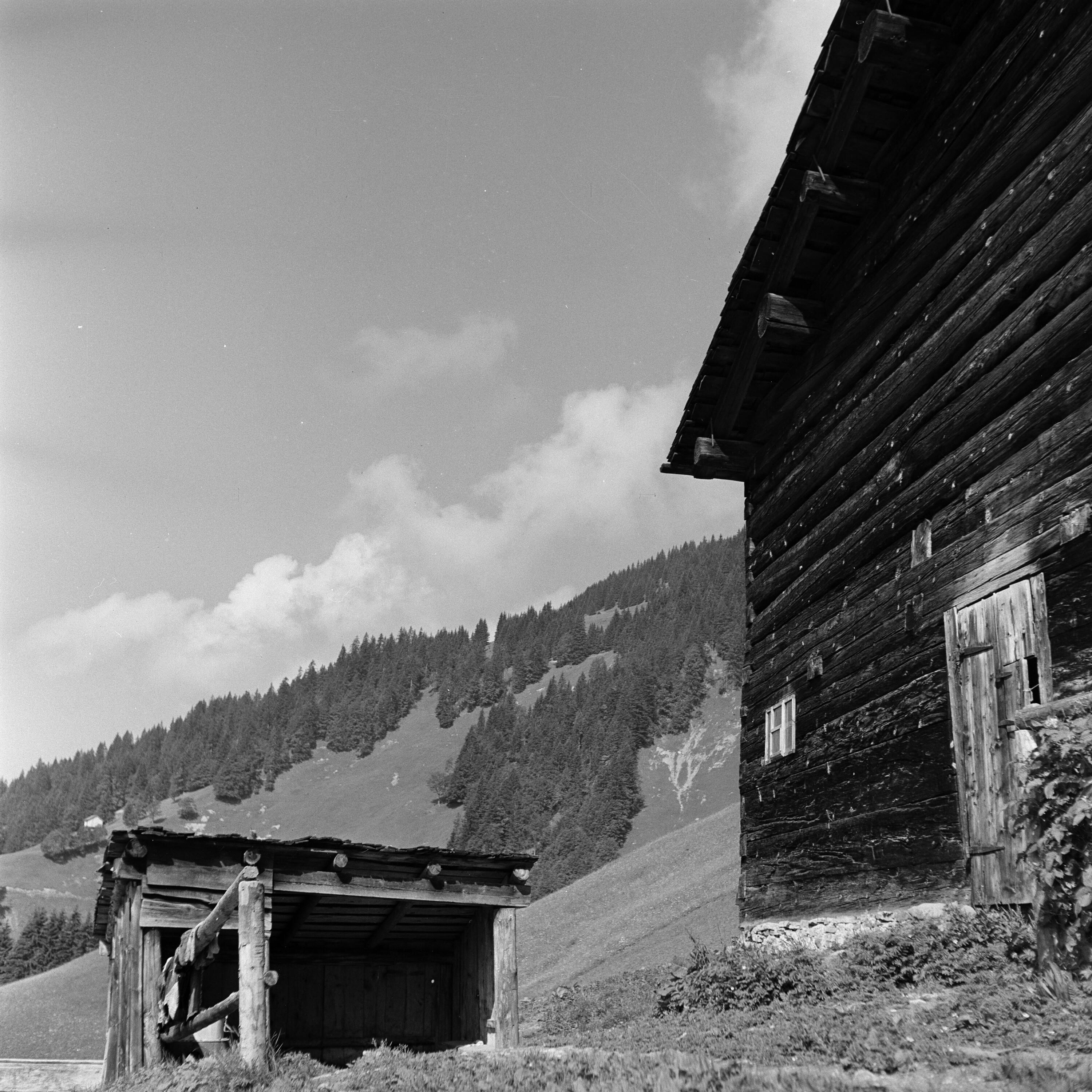 Großes Walsertal, Einzelnes></div>


    <hr>
    <div class=