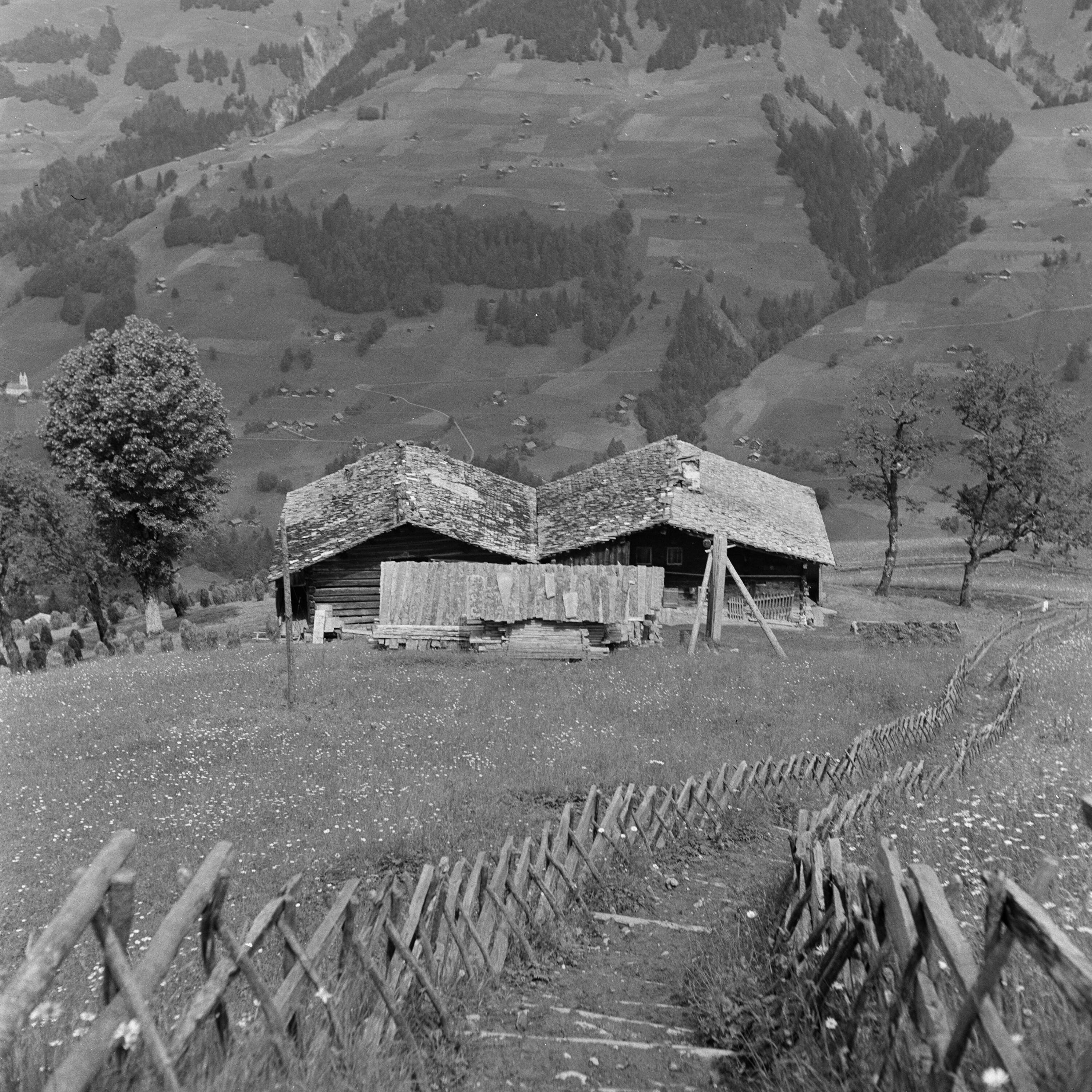 Sonntag- Stein, d' Wiesa></div>


    <hr>
    <div class=