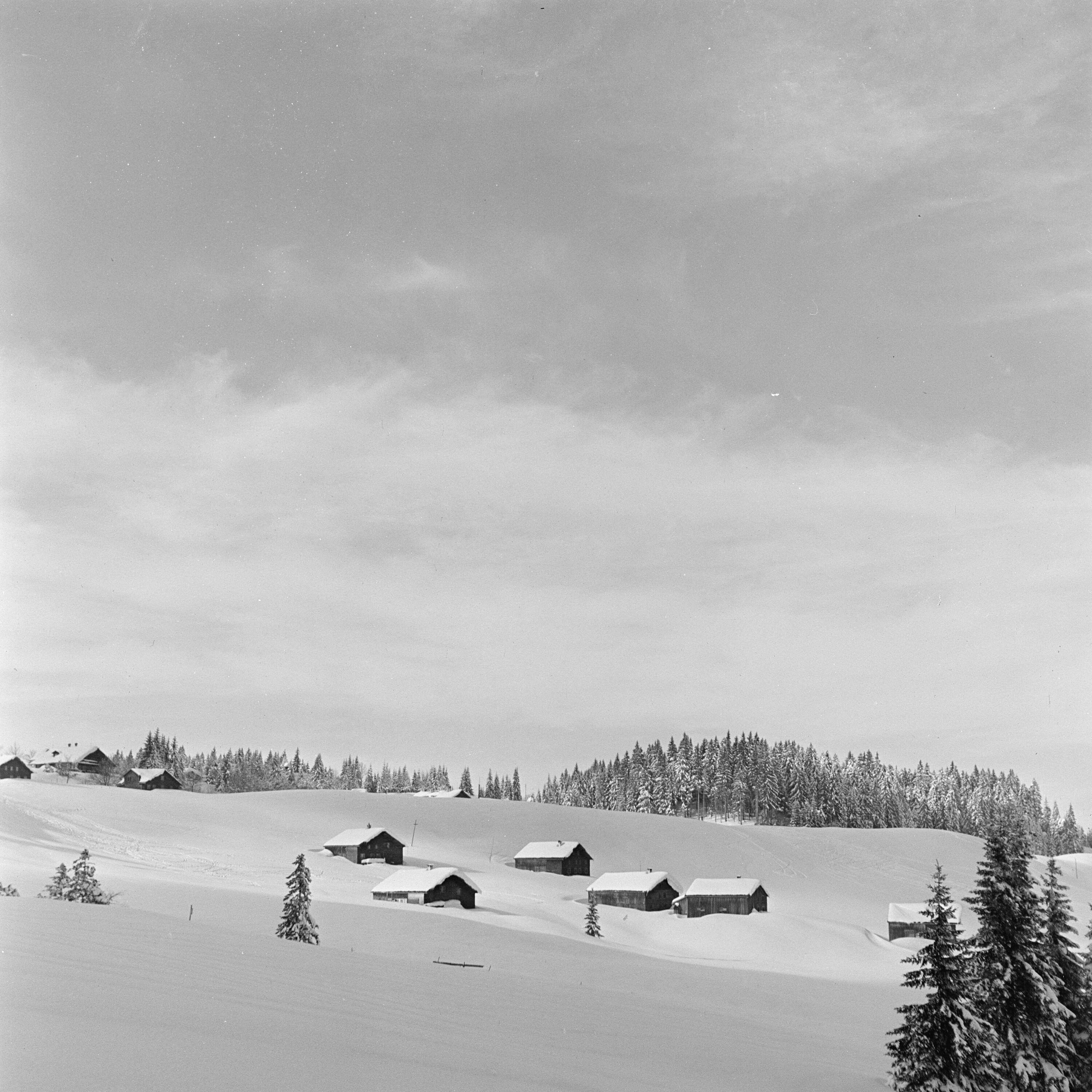 Schwarzenberg - Bödele></div>


    <hr>
    <div class=