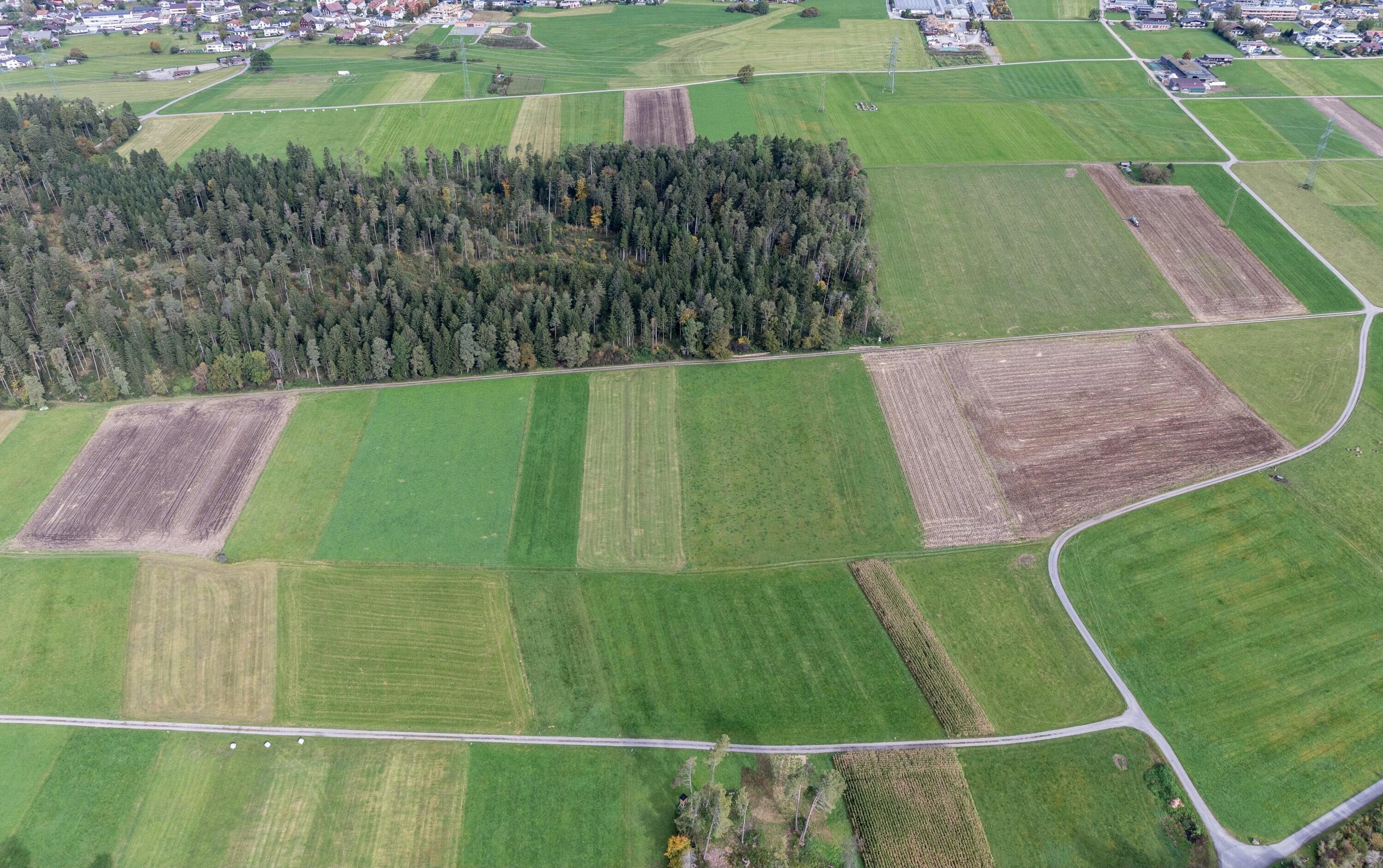 [Bludesch - Grenze Thüringen, Wiese, Kreuzweg, Werkstraße]></div>


    <hr>
    <div class=