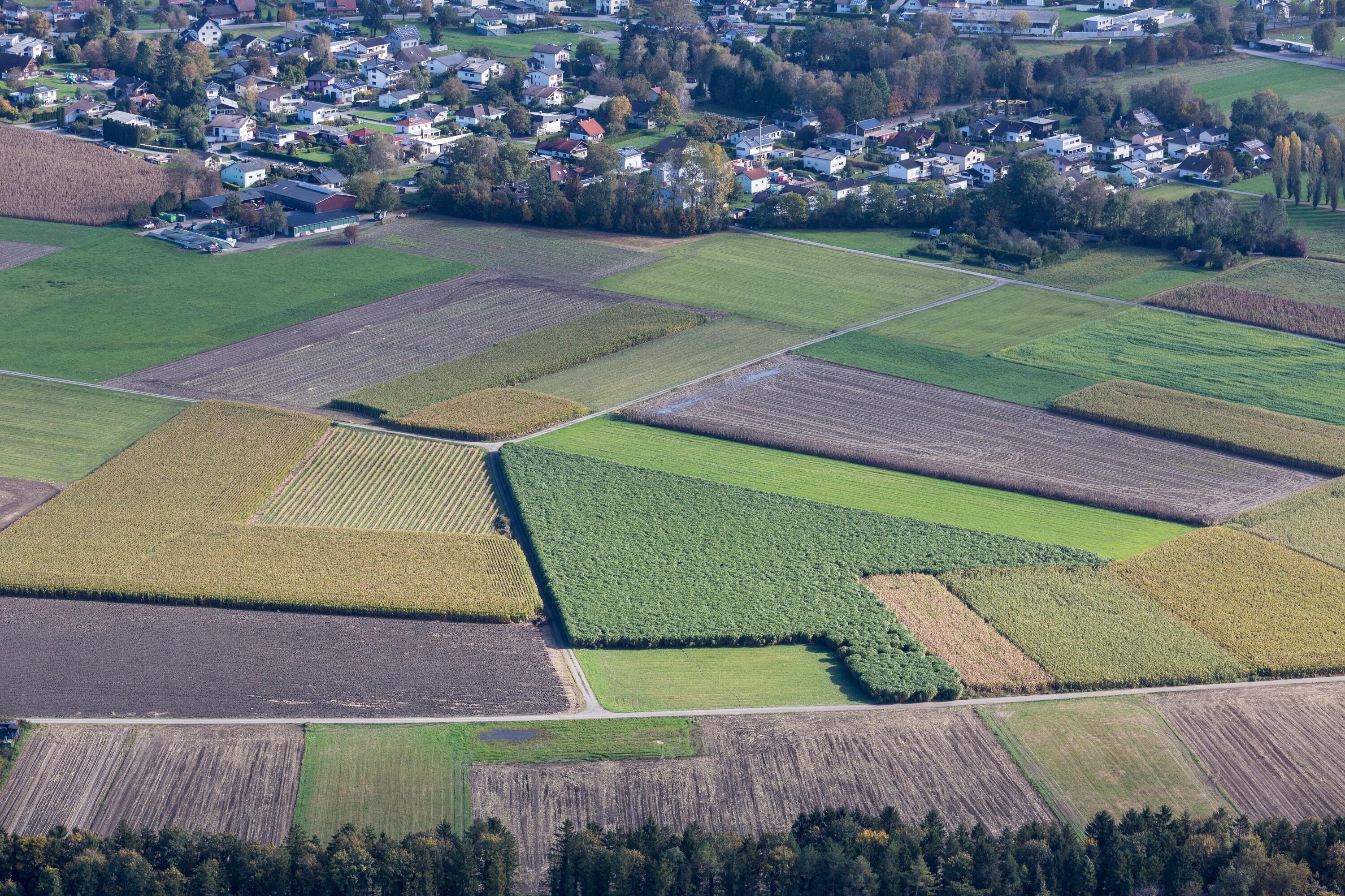 [Meiningen, Landwirtschaft]></div>


    <hr>
    <div class=