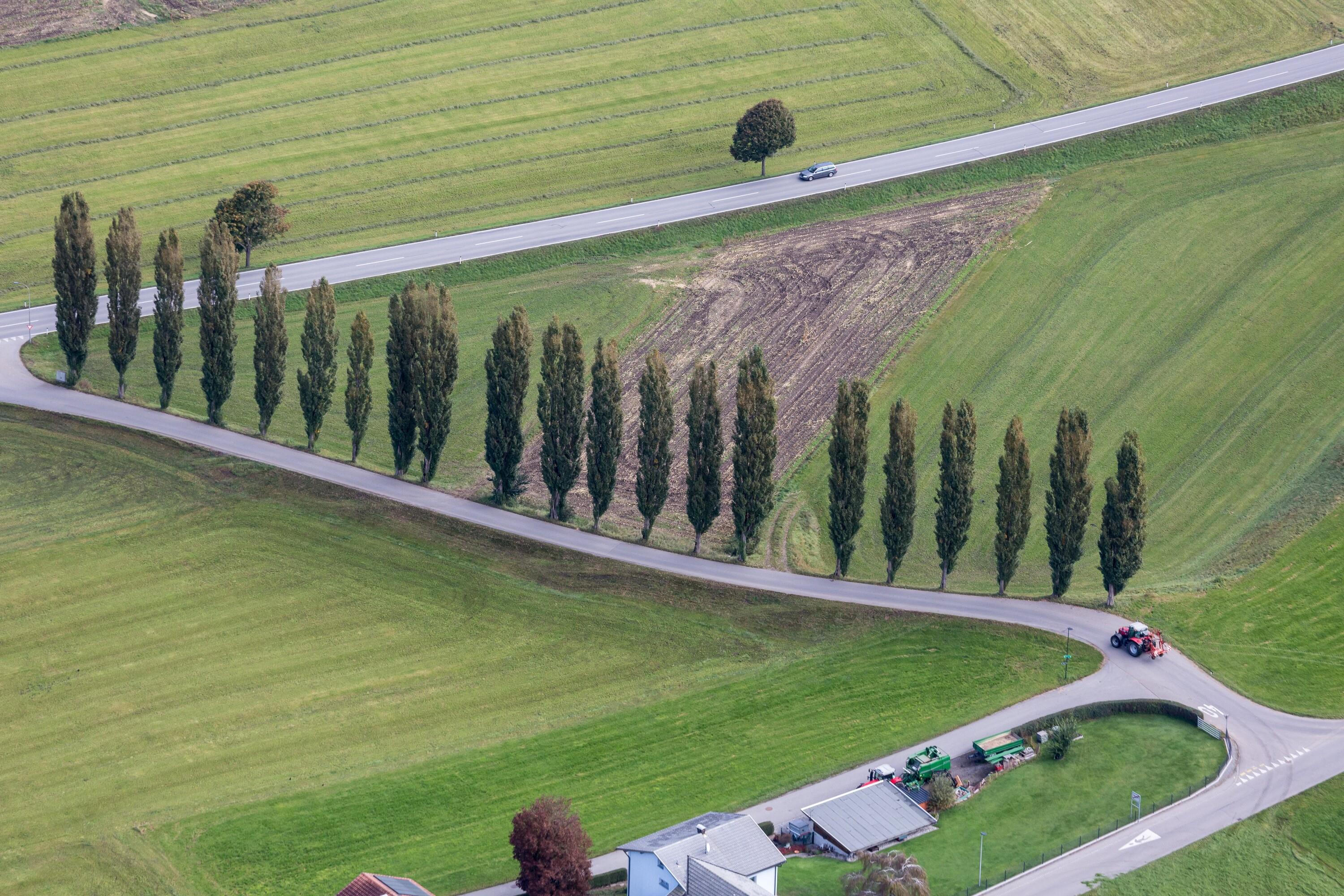 [Nenzing - Beschling, Allee]></div>


    <hr>
    <div class=