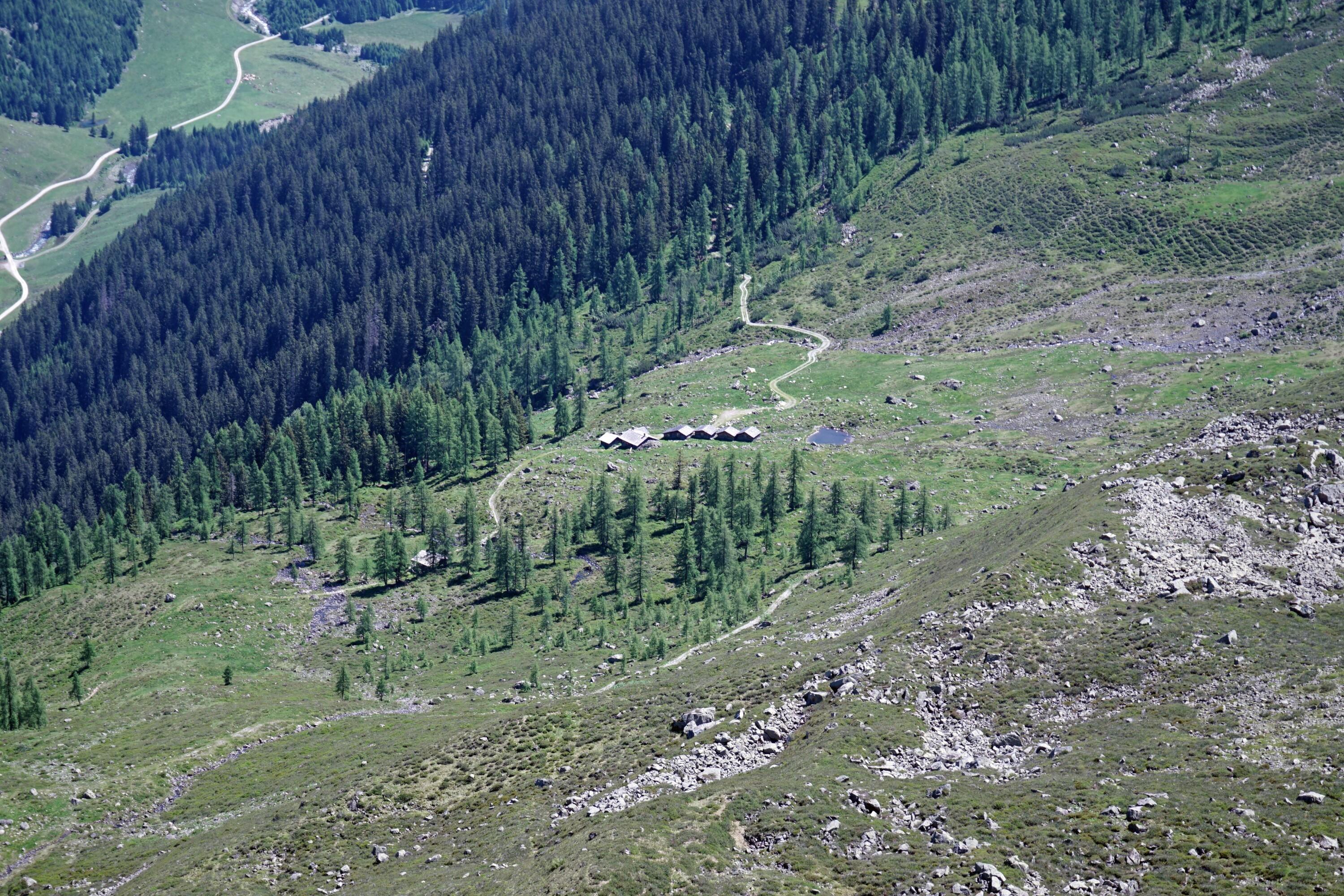 [Silbertal - Alpe Alpgues]></div>


    <hr>
    <div class=