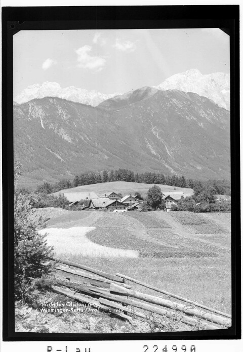 Wald bei Obsteig gegen Mieminger Kette / Tirol