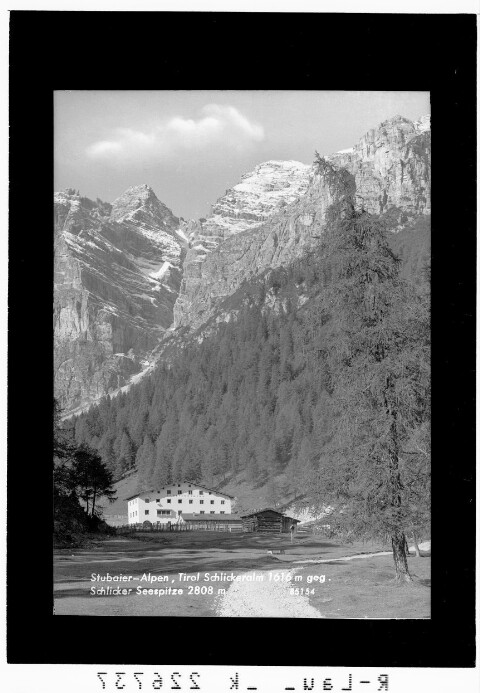 Stubaier Alpen / Tirol / Schlickeralm 1616 m gegen Schlicker Seespitze 2808 m