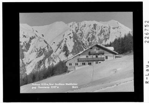 Padaun 1520 m / Tirol / Gasthaus Steckholzer gegen Gammerspitze 2537 m