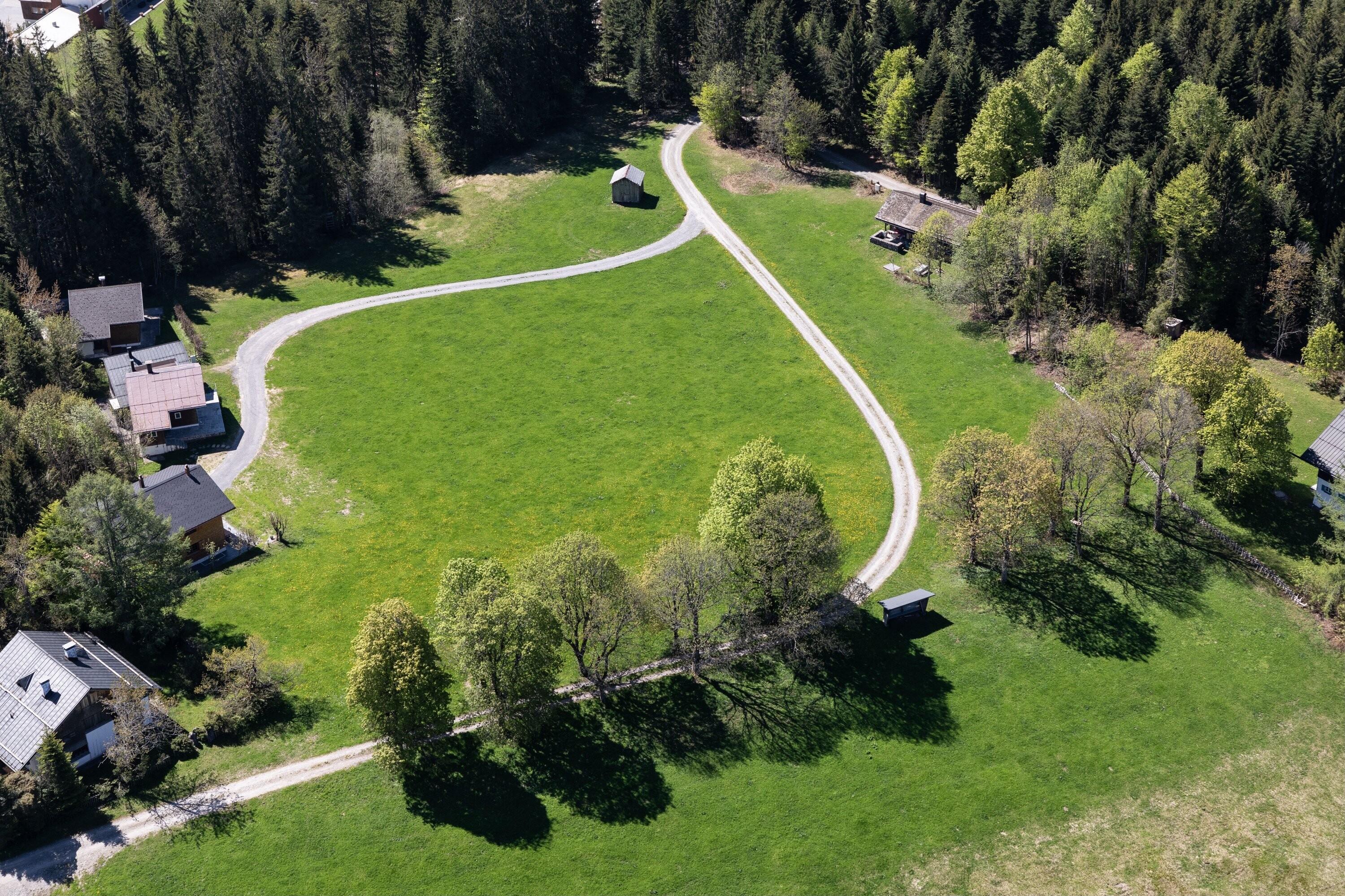 [Schwarzenberg - Bödele, Seewarte]></div>


    <hr>
    <div class=