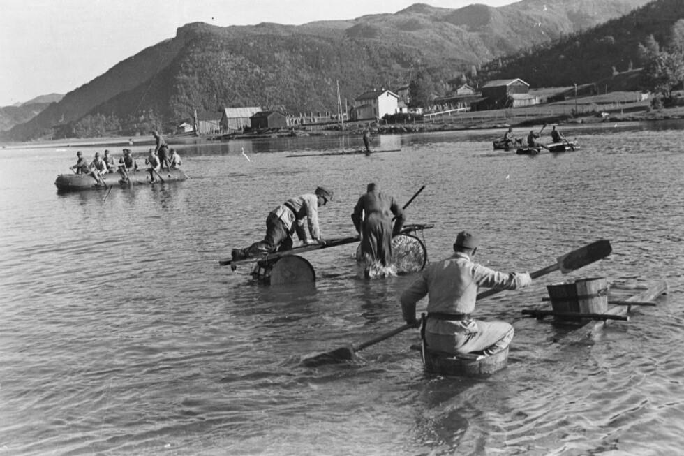 2. Gebirgs-Division, Gebirgsjäger-Regiment 136 - Rognan 1940