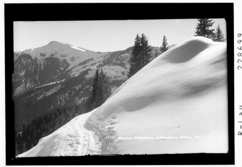 Skigebiet Wildschönau / Feldalpenhorn 1926 m / Tirol