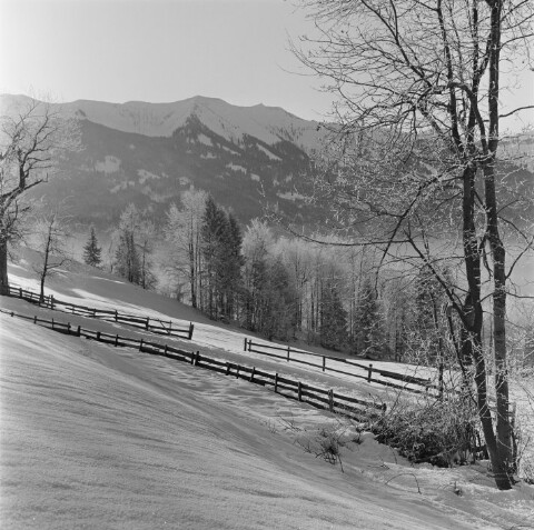 Dornbirn Kehlegg, Winter