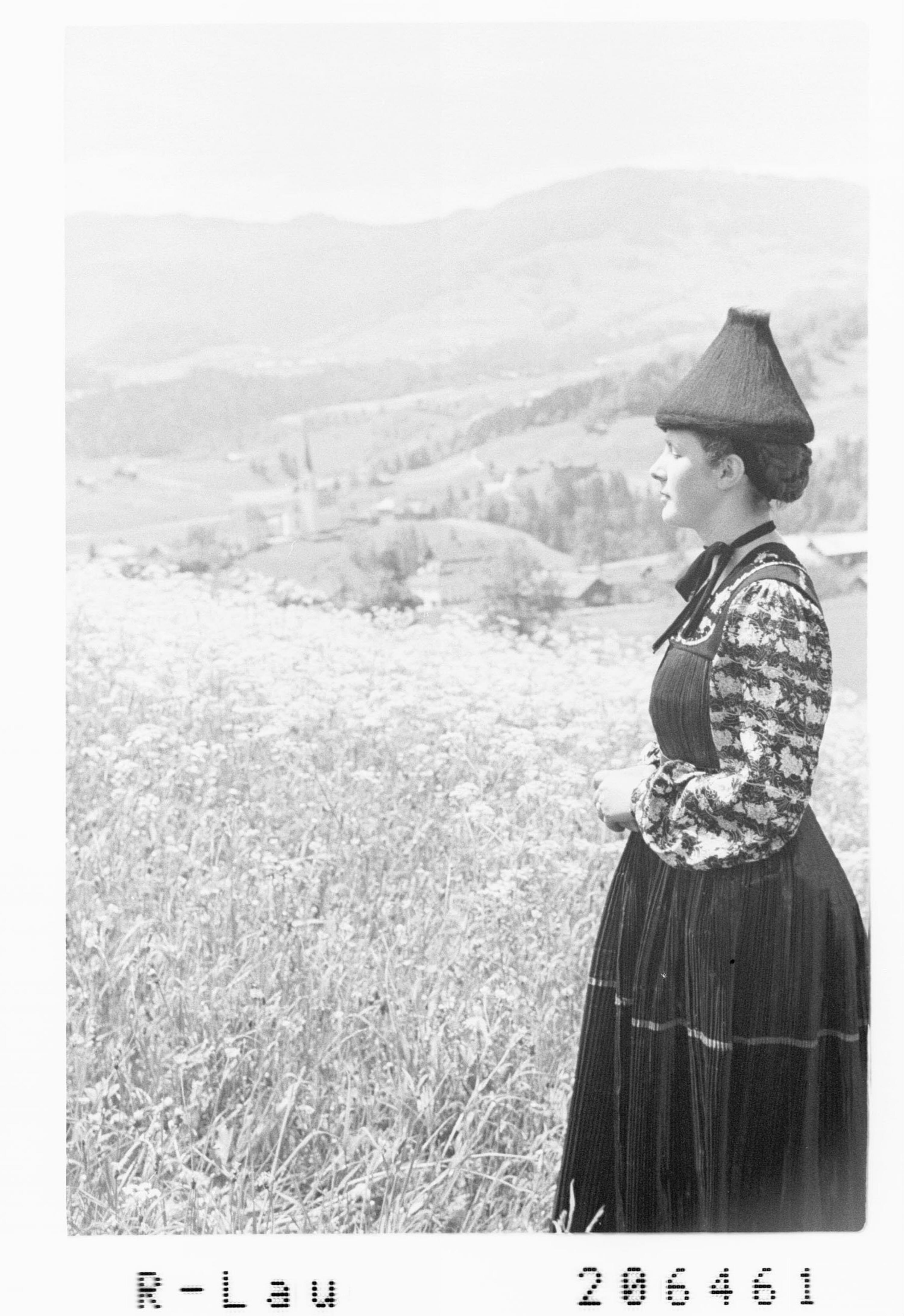 [Bregenzerwälder Tracht]></div>


    <hr>
    <div class=