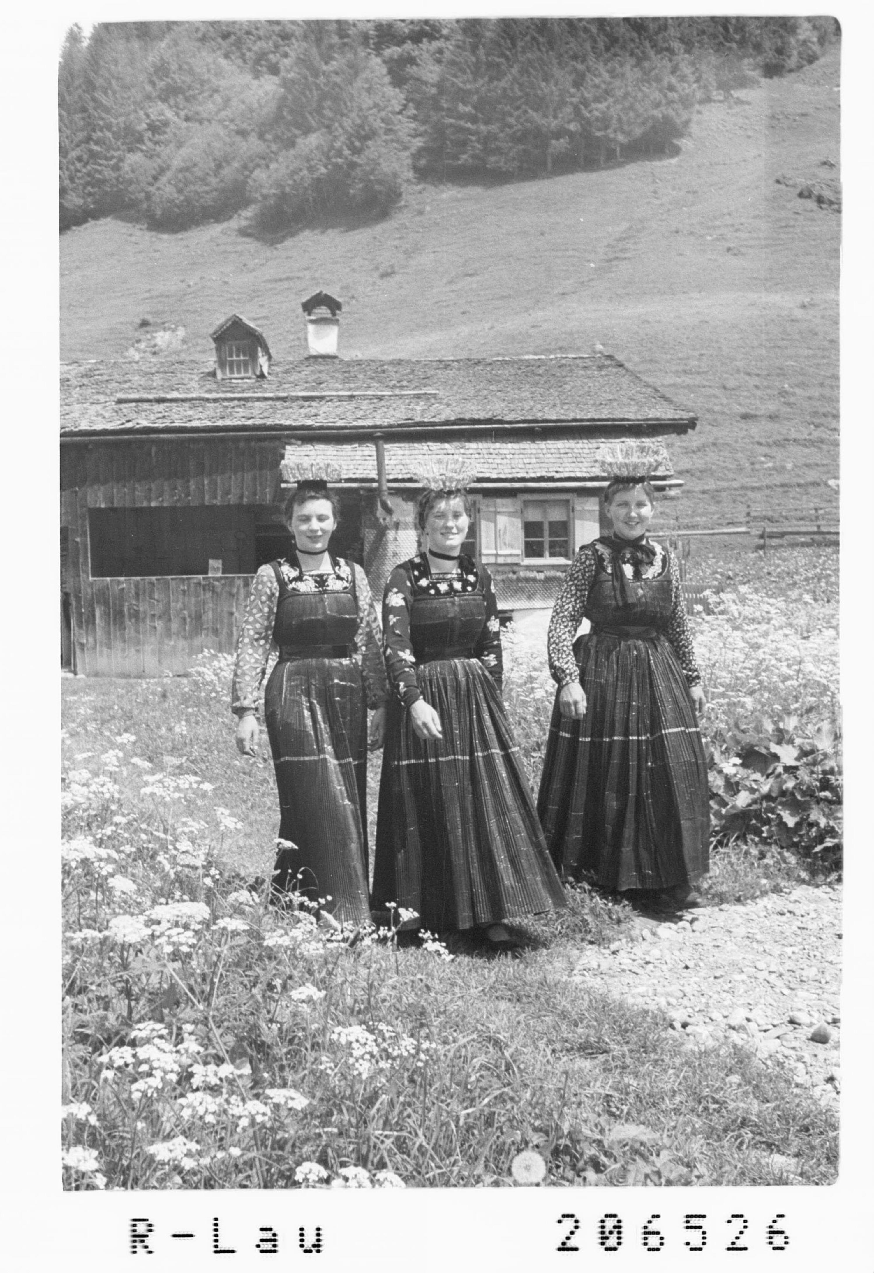 [Bregenzerwälderin]></div>


    <hr>
    <div class=