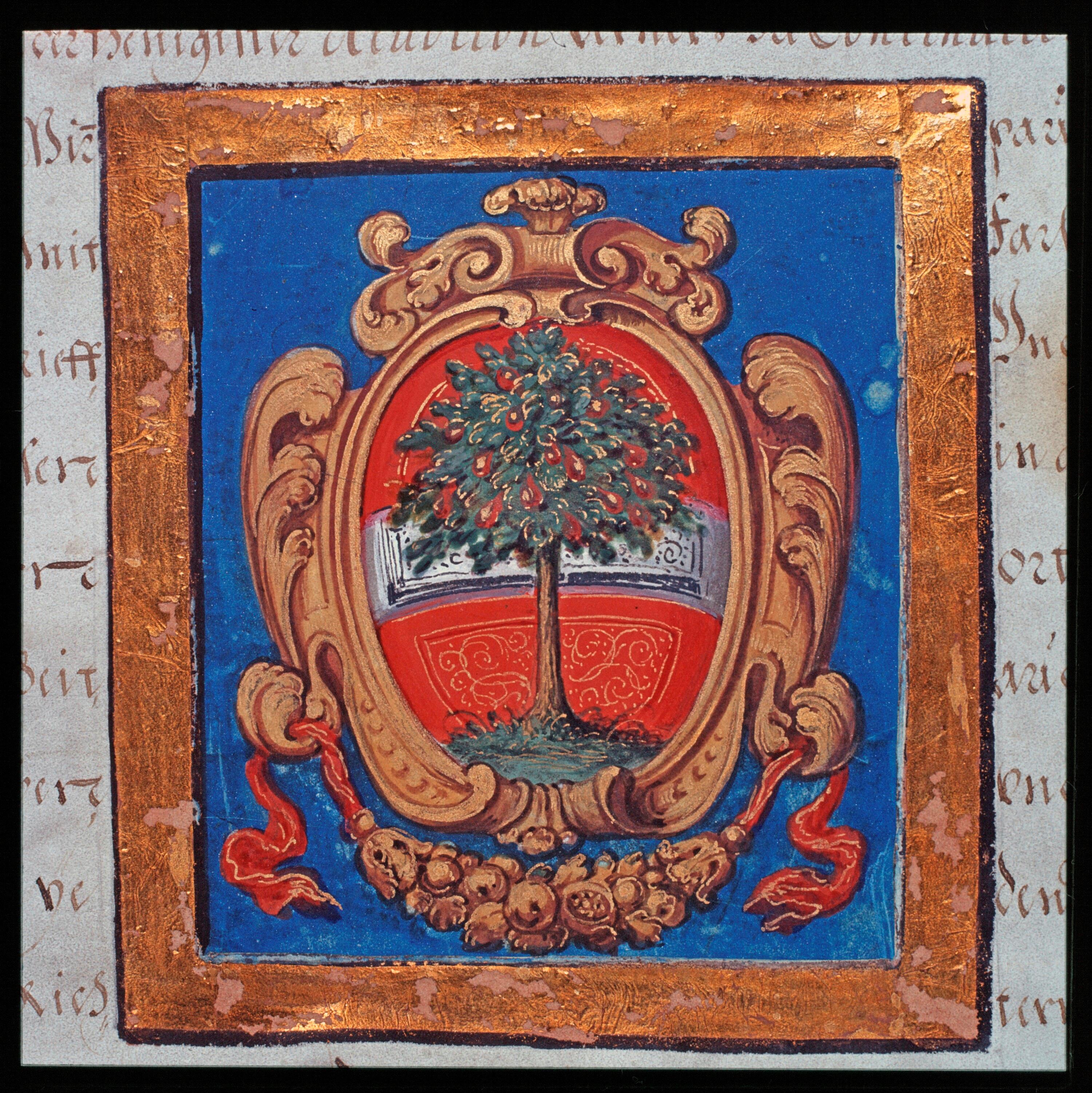 Dornbirn - Stadtwappen (Urkunde)></div>


    <hr>
    <div class=