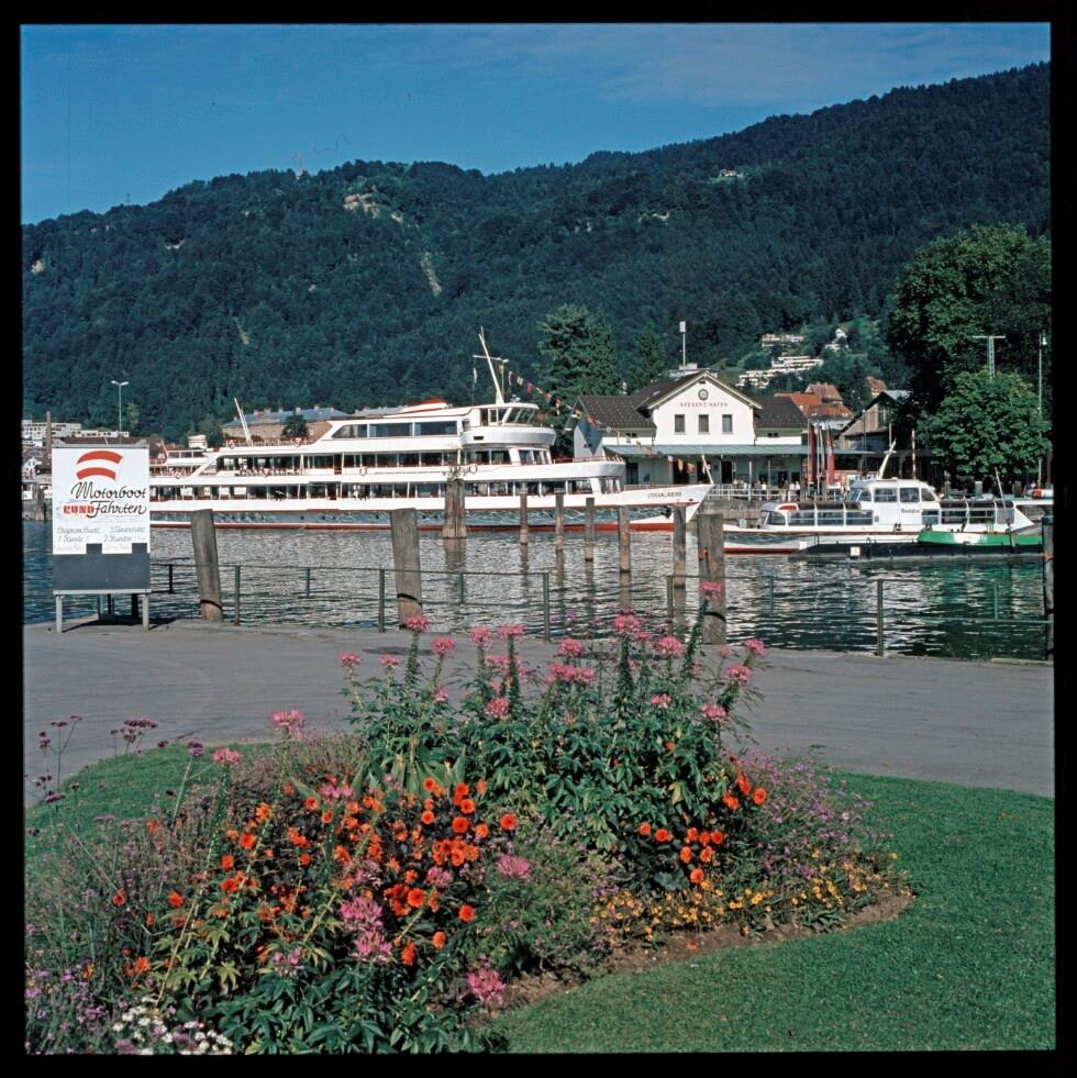 volare Bregenz Promenade + Seeufer