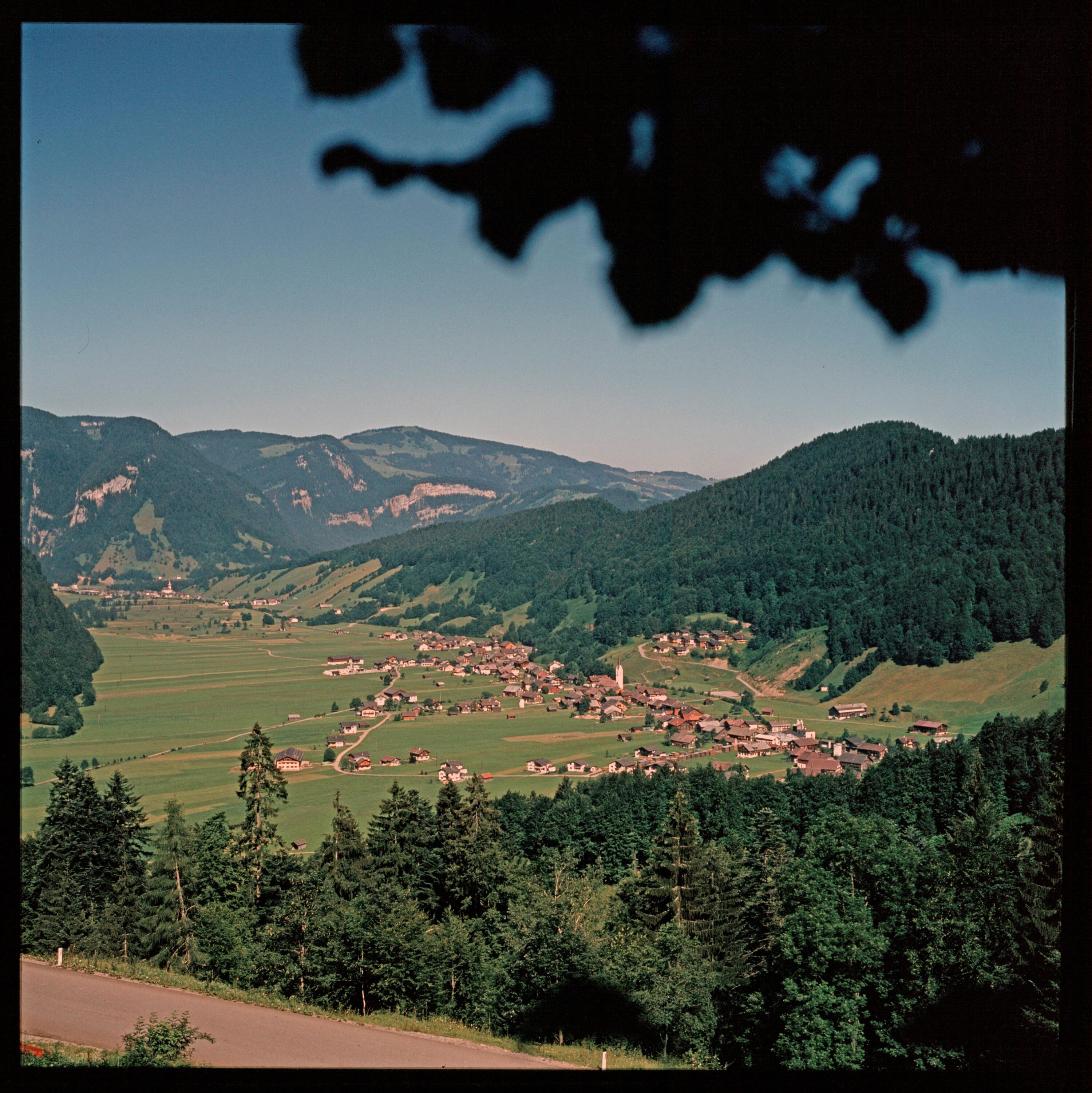 Bizau></div>


    <hr>
    <div class=