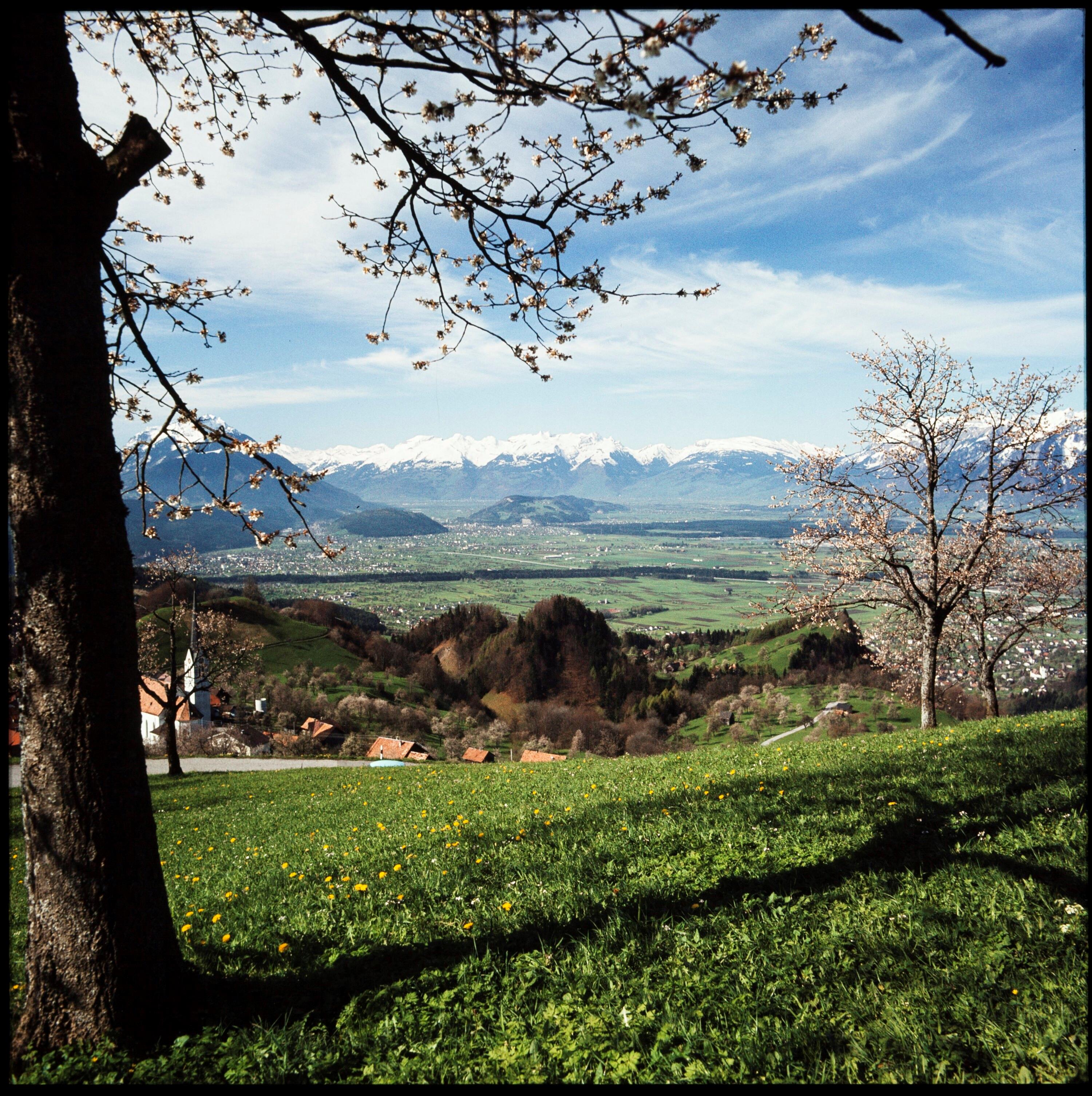 Fraxern></div>


    <hr>
    <div class=