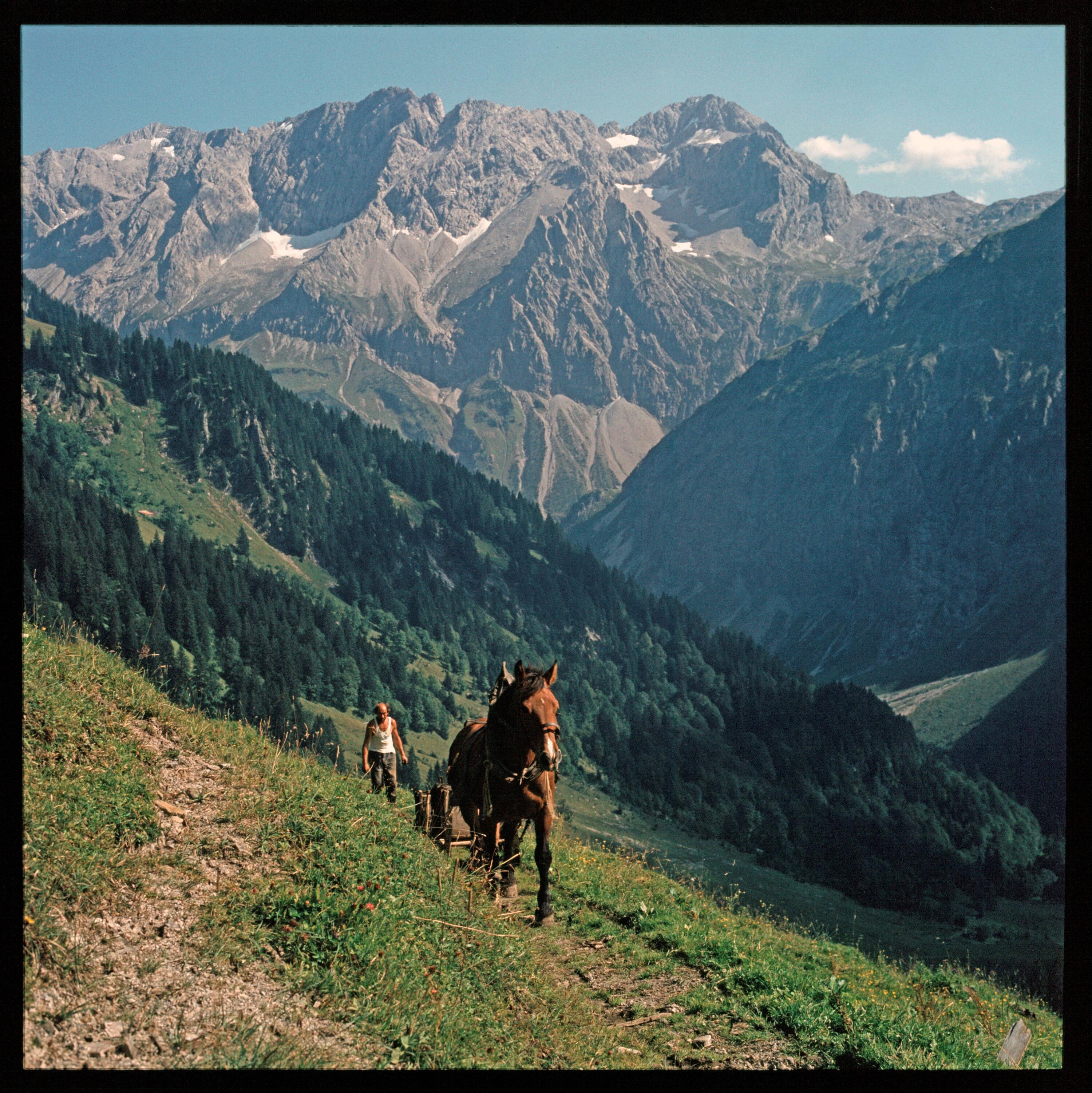 Alpe Ischkarnai></div>


    <hr>
    <div class=