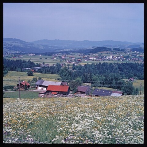Streusiedlung in Lingenau