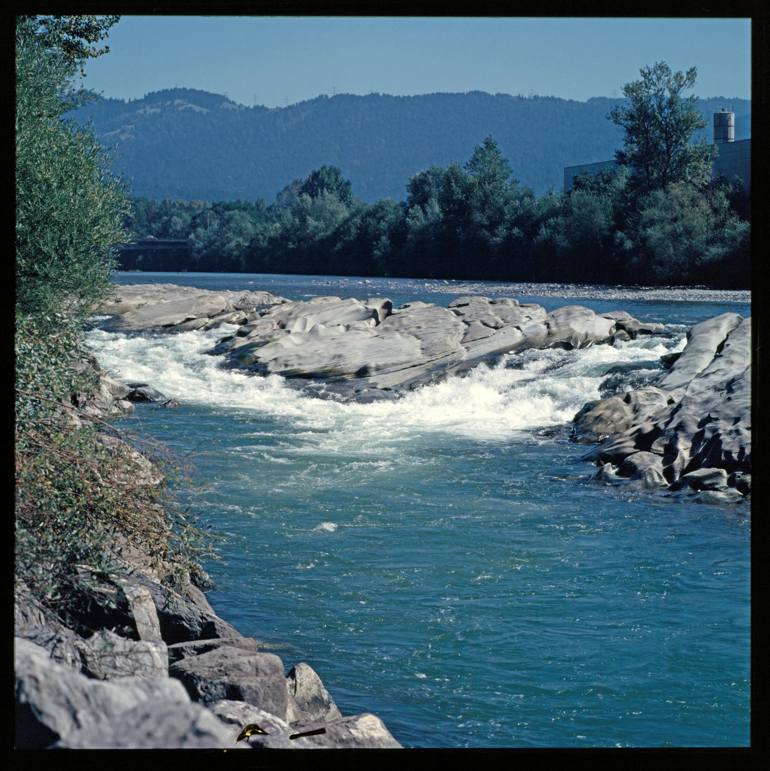 Bregenzer Ache bei Rieden></div>


    <hr>
    <div class=