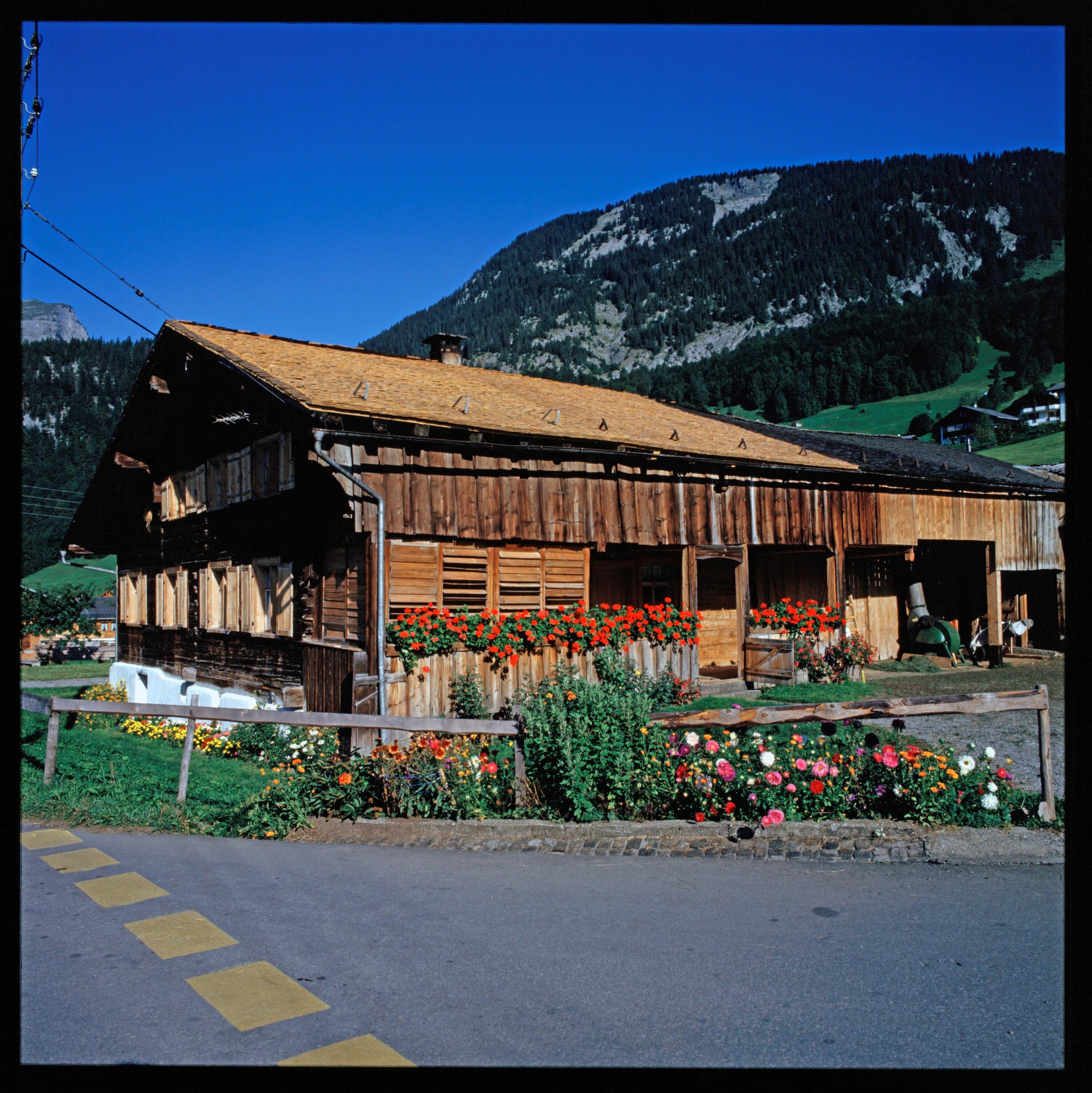 Wälderhaus bei Schoppernau></div>


    <hr>
    <div class=